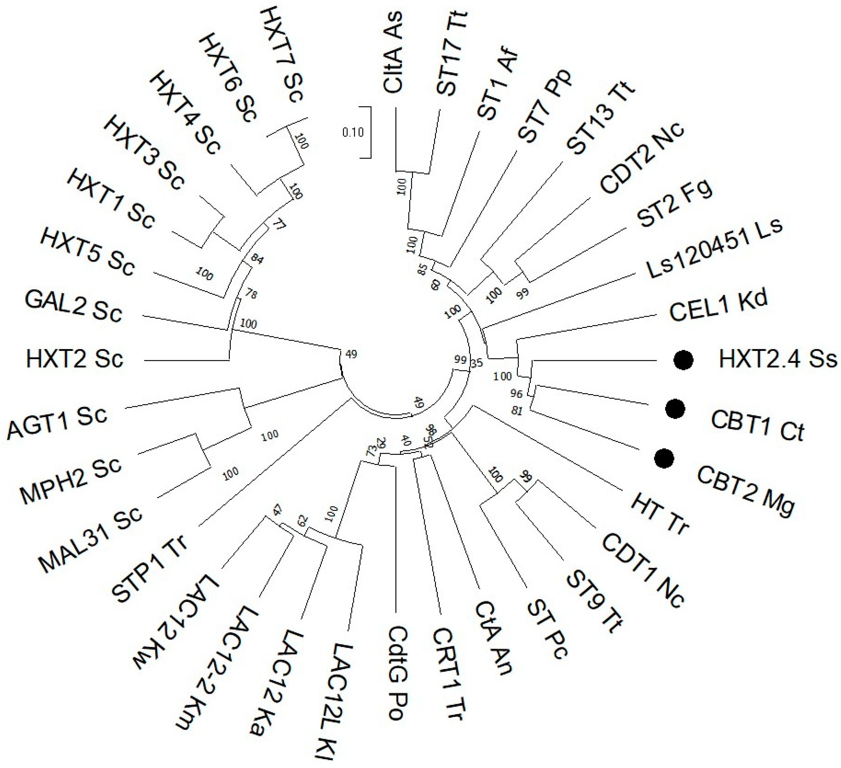 Fermentation 10 00490 g008