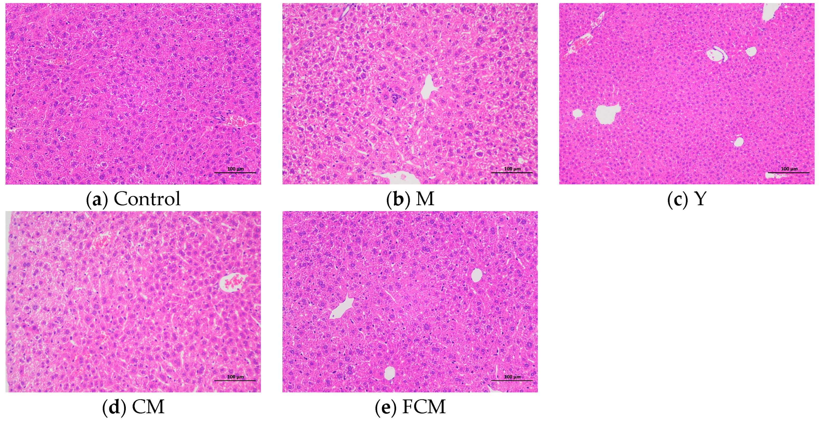 Fermentation 10 00493 g003