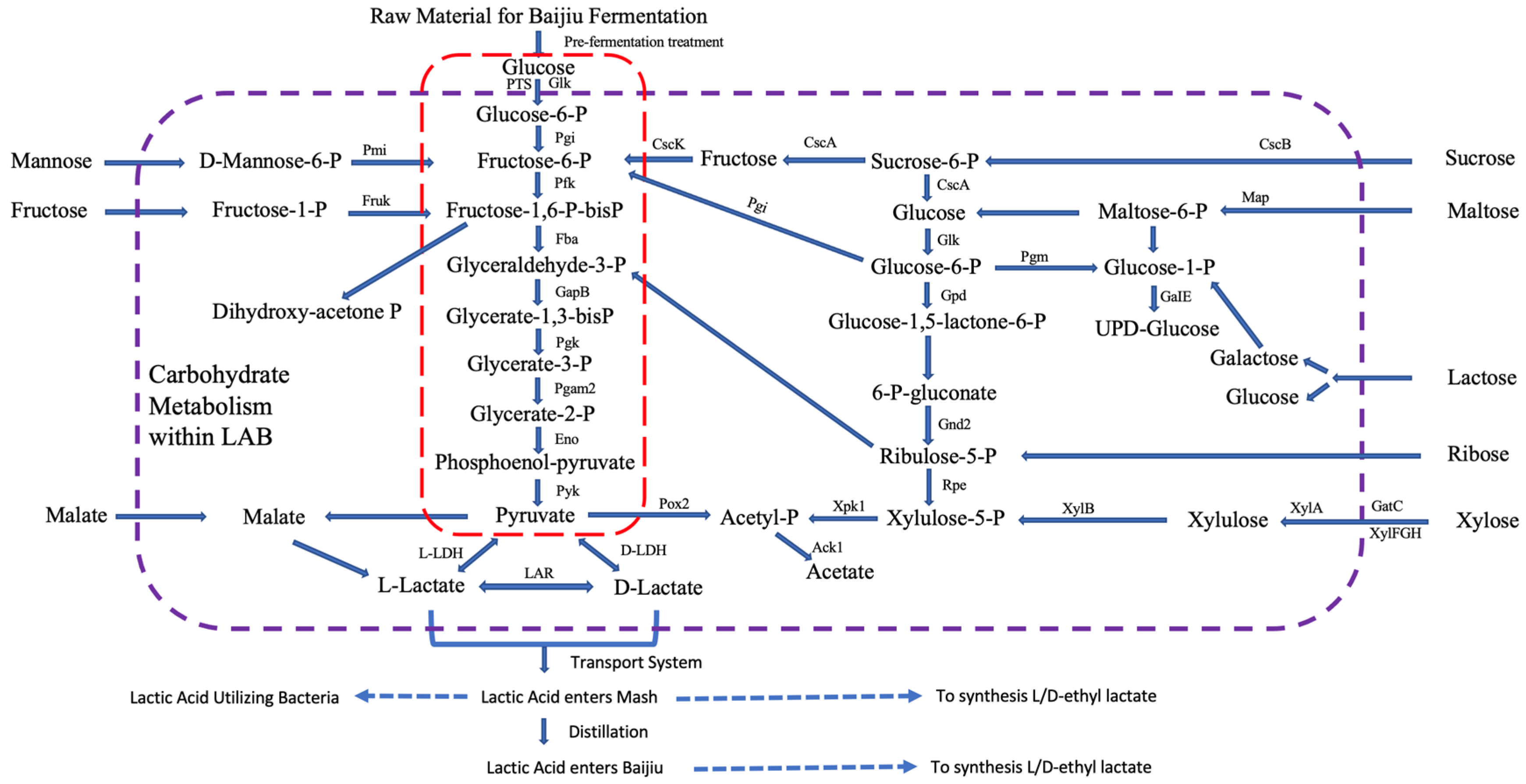 Fermentation 10 00505 g001