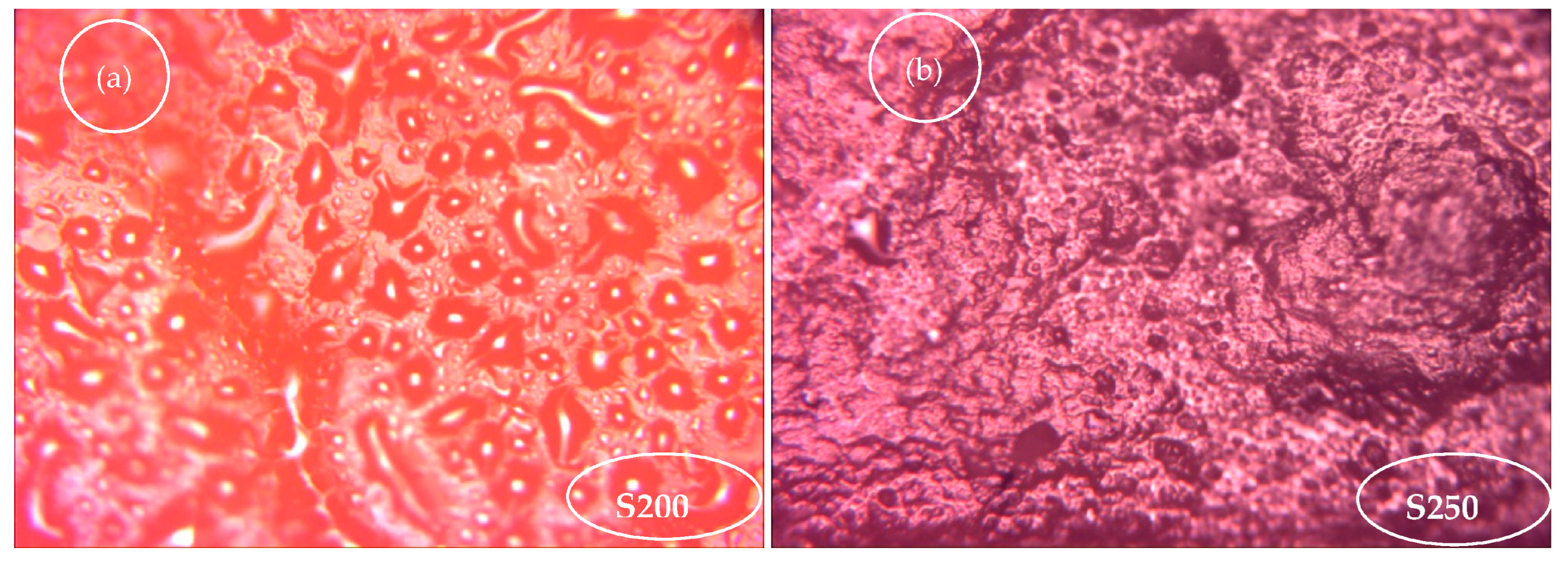 Fermentation 10 00524 g004 Fermentation 10 00524 g004
