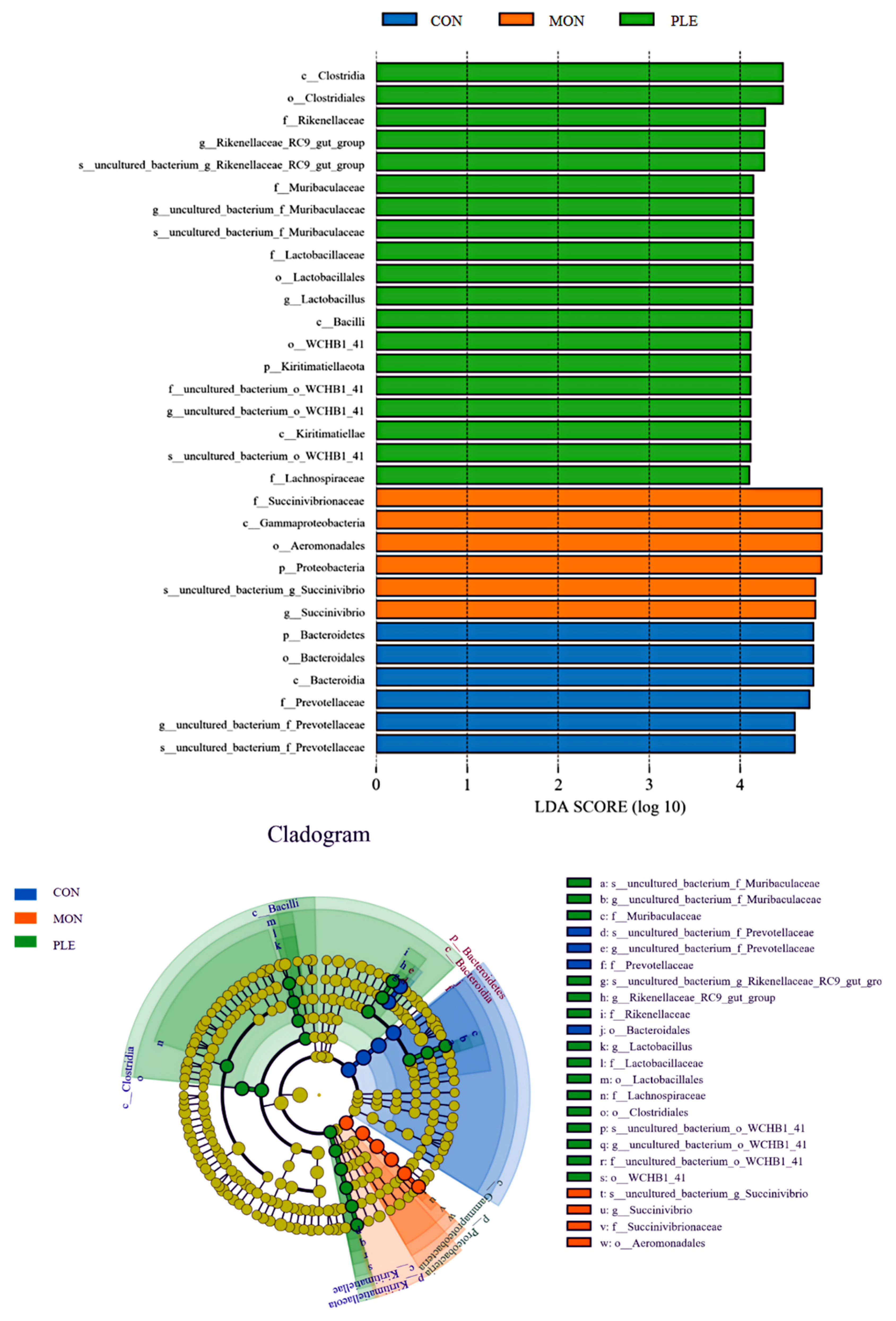 Fermentation 10 00542 g002