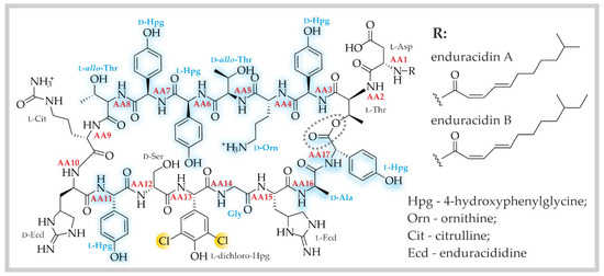 Unraveling the Biosynthetic Logic Behind the Production of