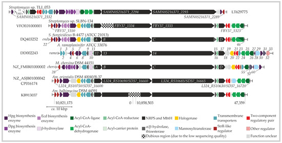 Unraveling the Biosynthetic Logic Behind the Production of