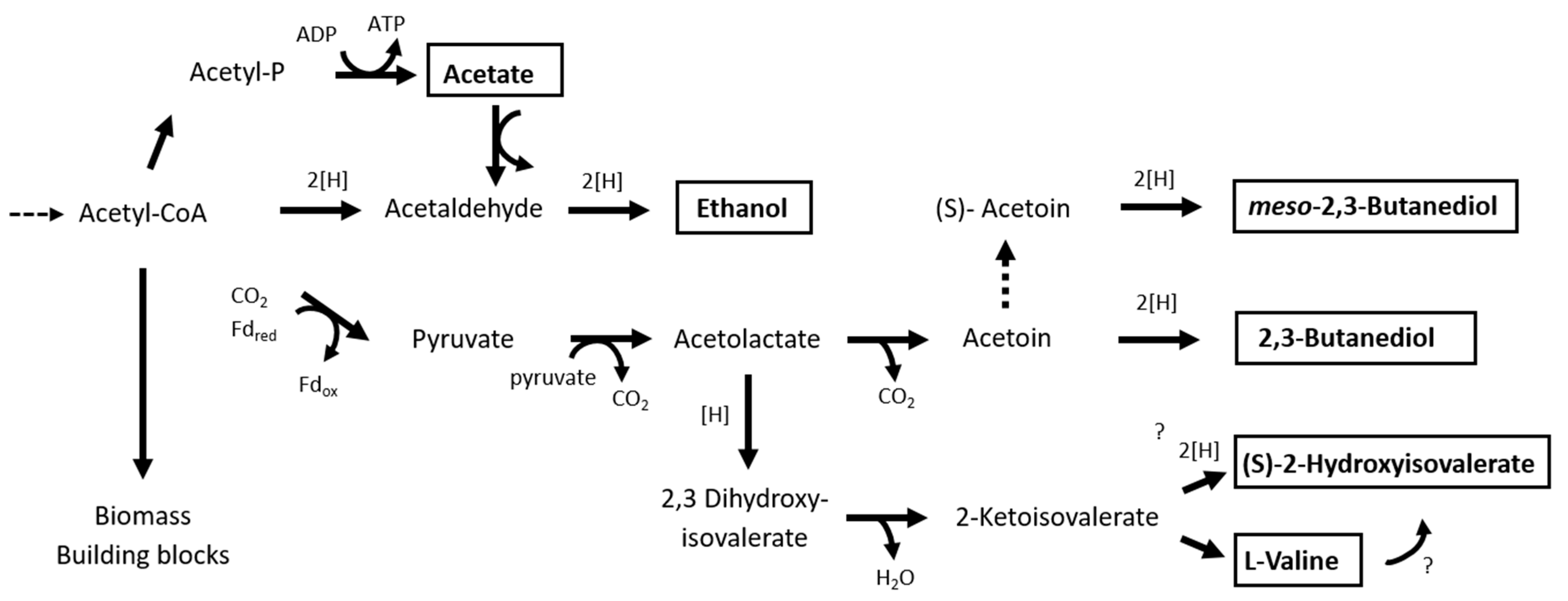 Fermentation 10 00546 g007