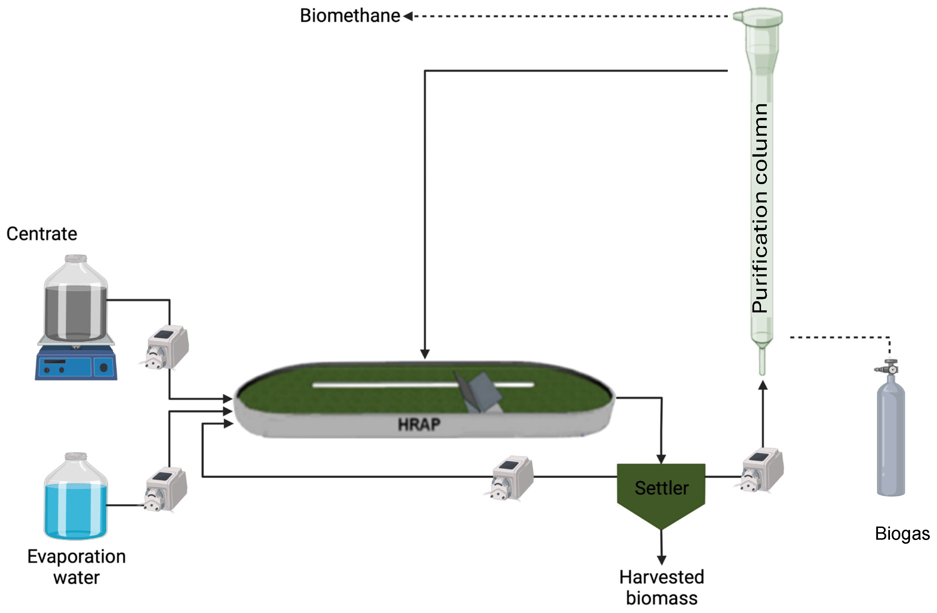 Fermentation 10 00551 g002