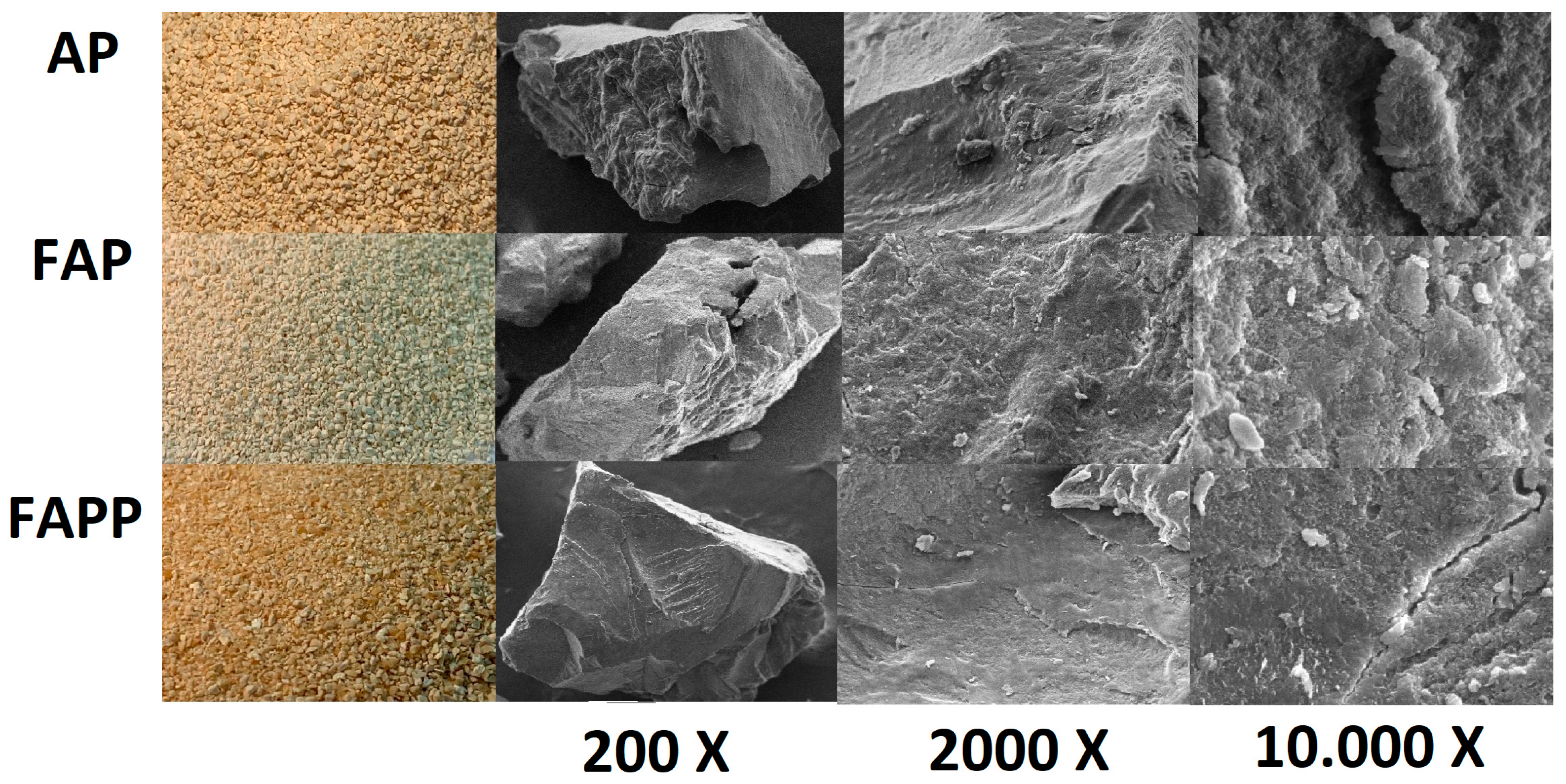 Fermentation 10 00556 g004