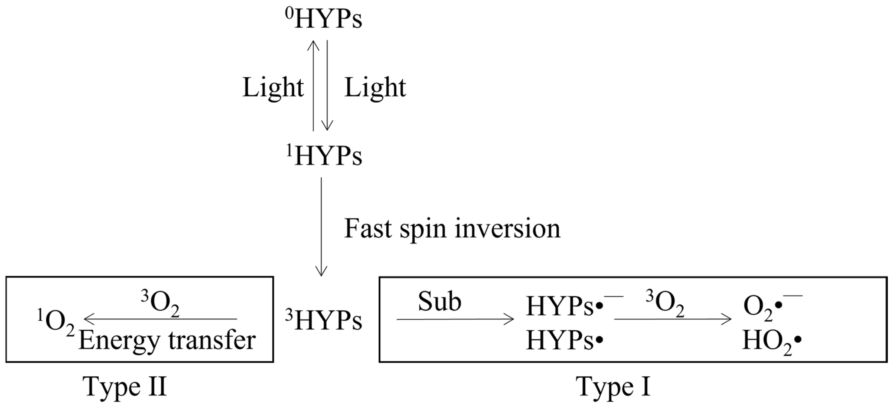 Fermentation 10 00559 g002