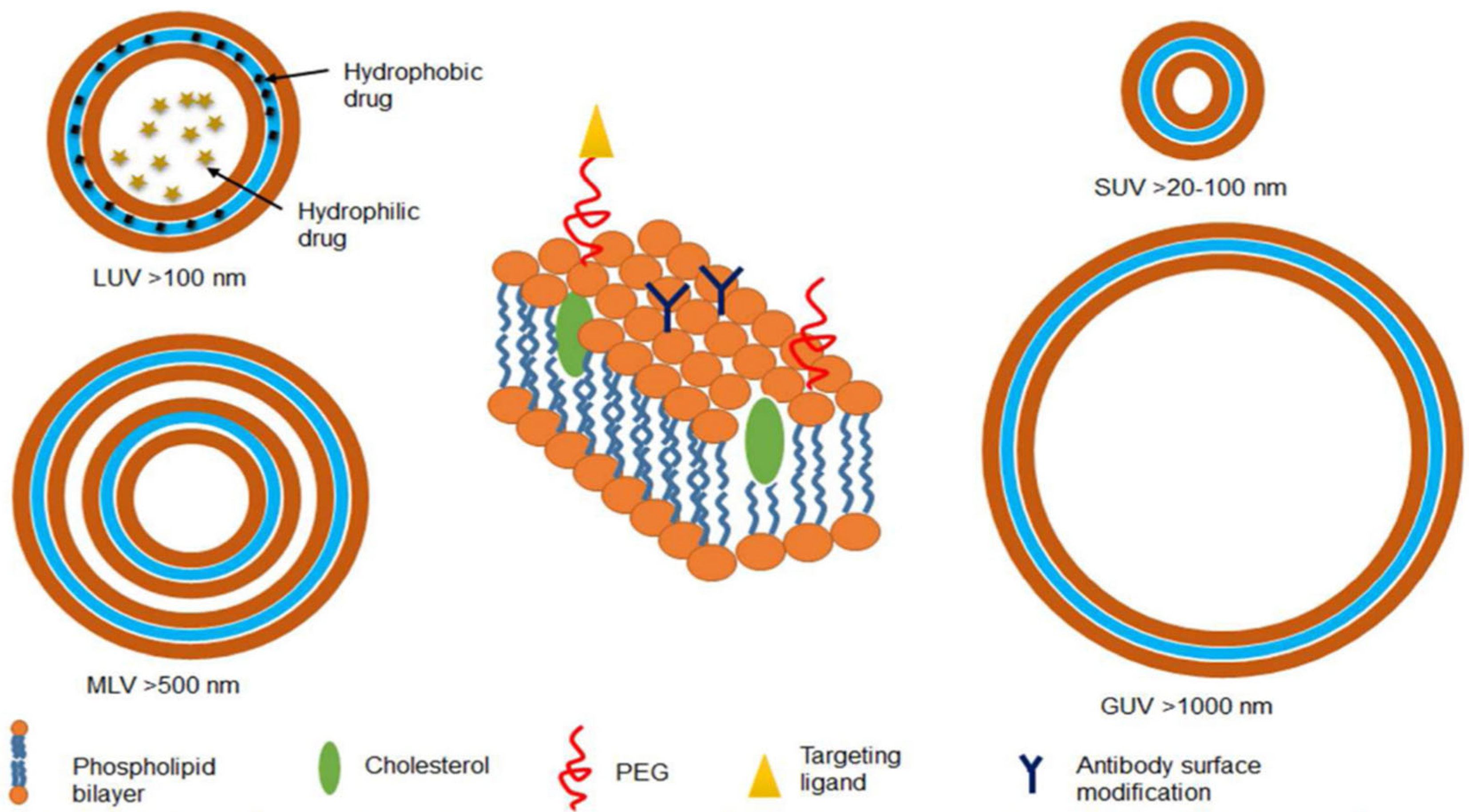 Fermentation 10 00559 g010