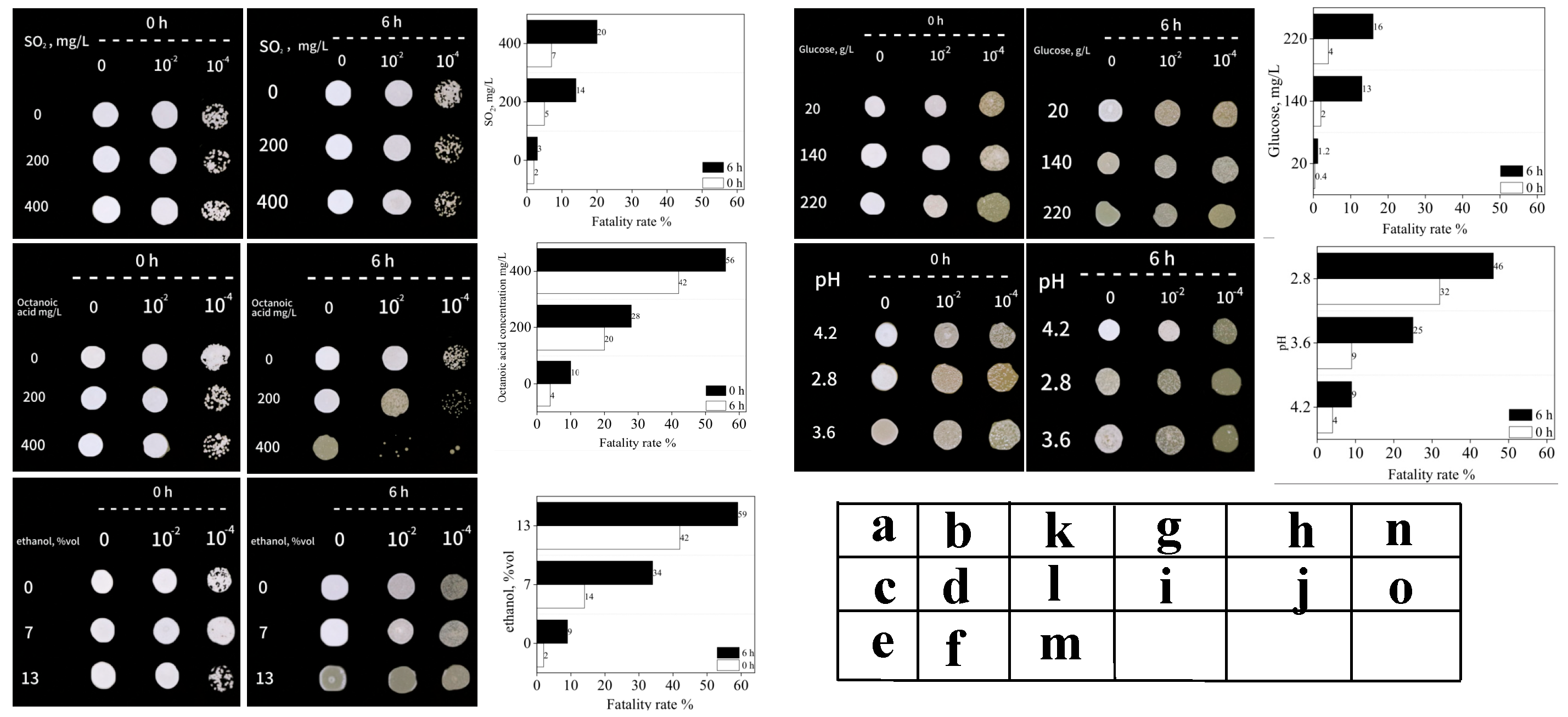 Fermentation 10 00563 g005