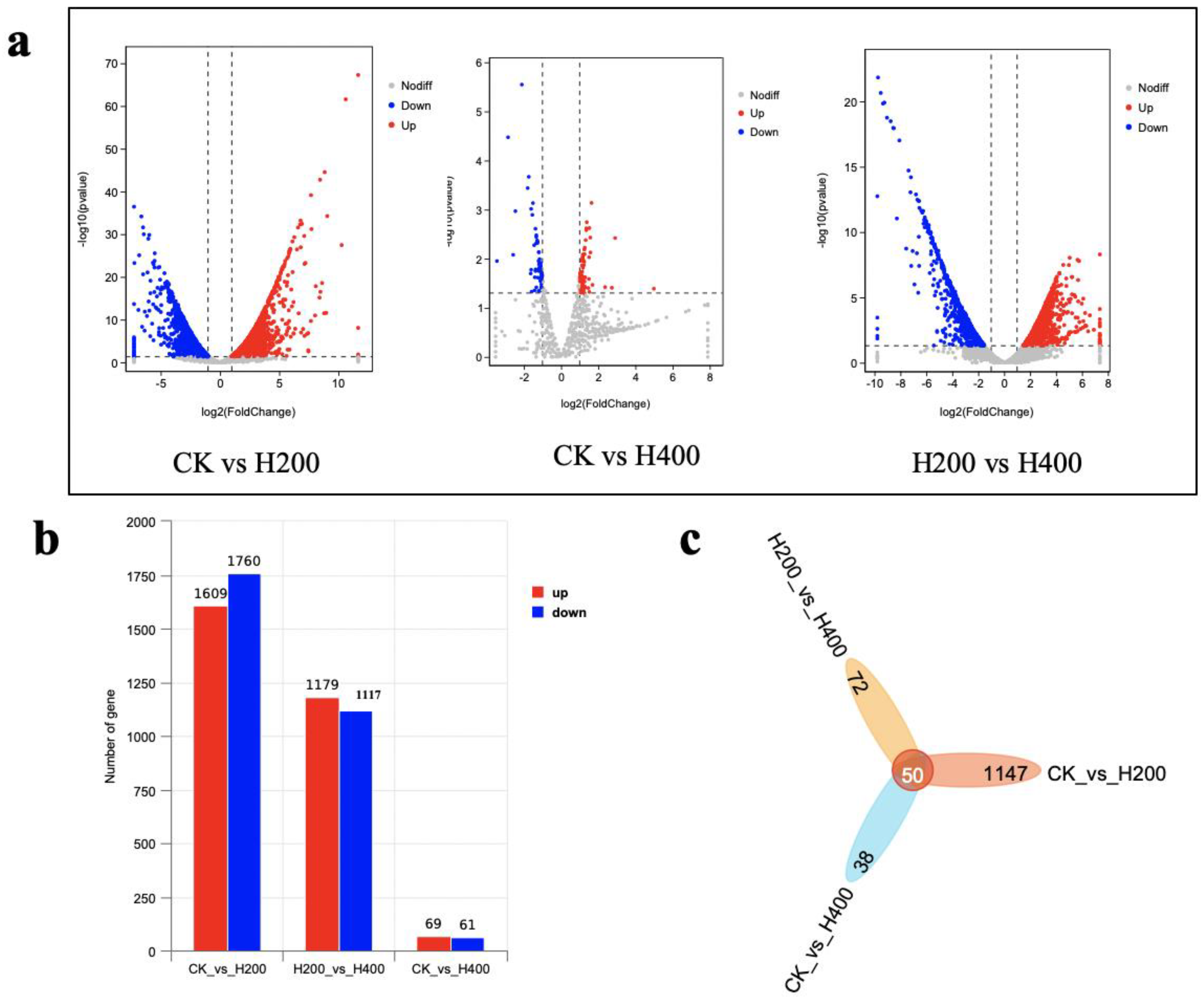 Fermentation 10 00563 g006