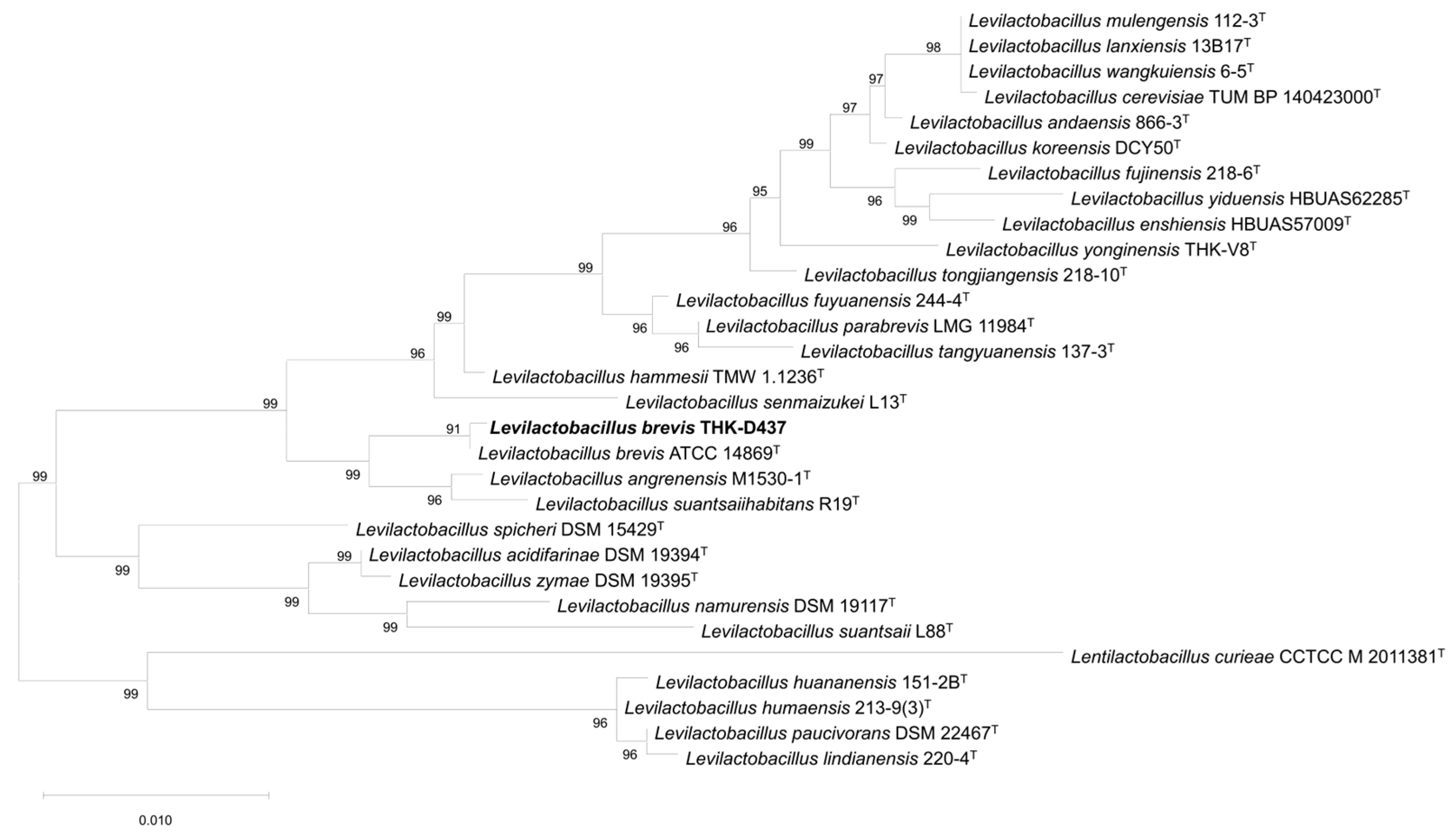 Fermentation 10 00565 g001
