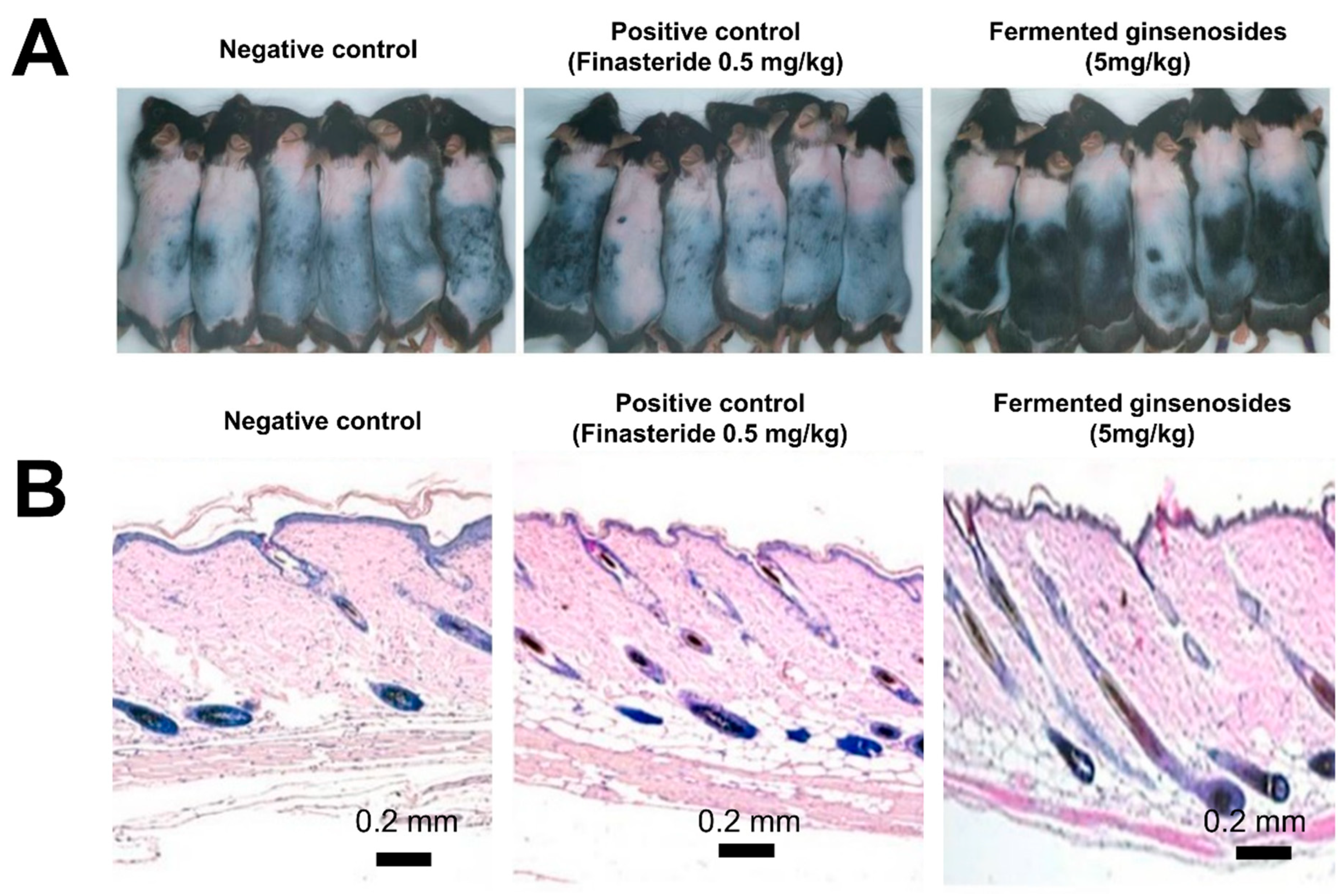 Fermentation 10 00565 g005
