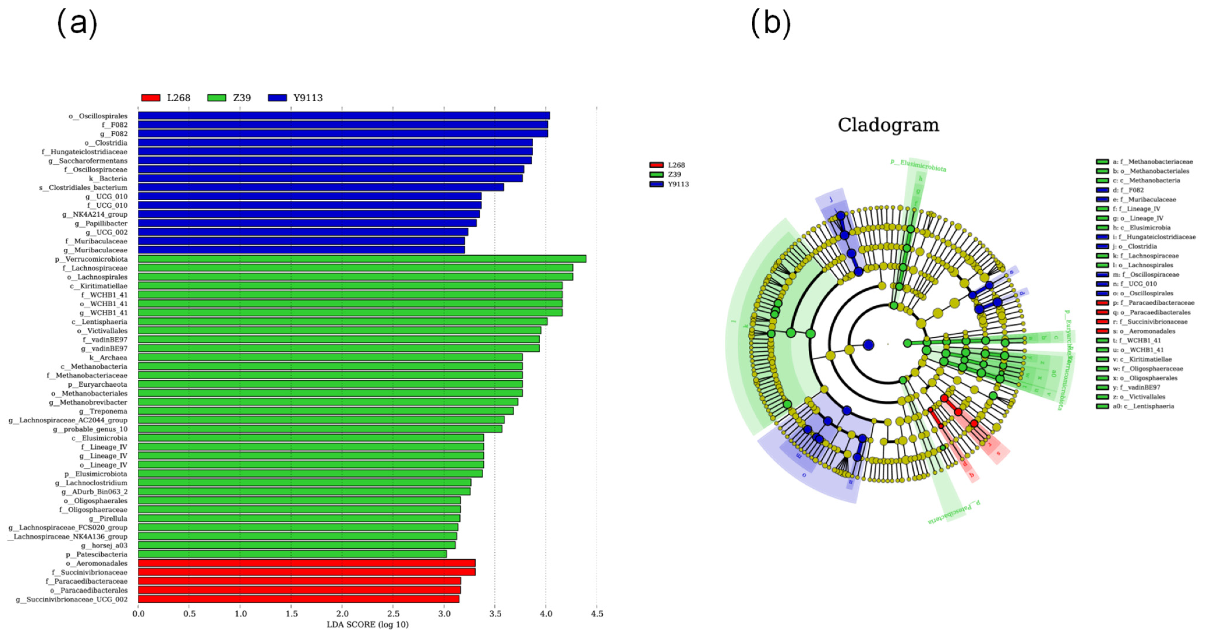 Fermentation 10 00567 g004