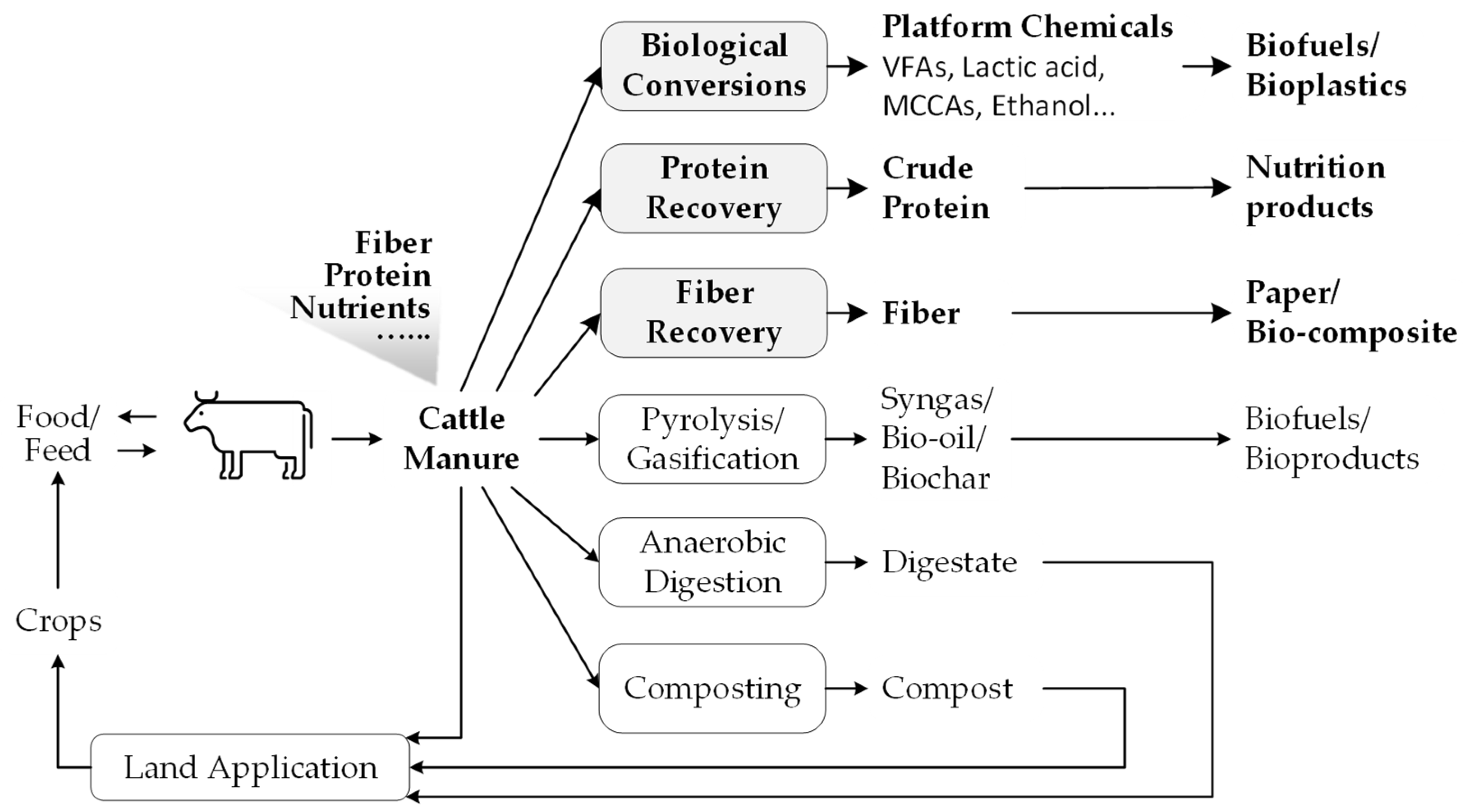 Fermentation 10 00568 g001