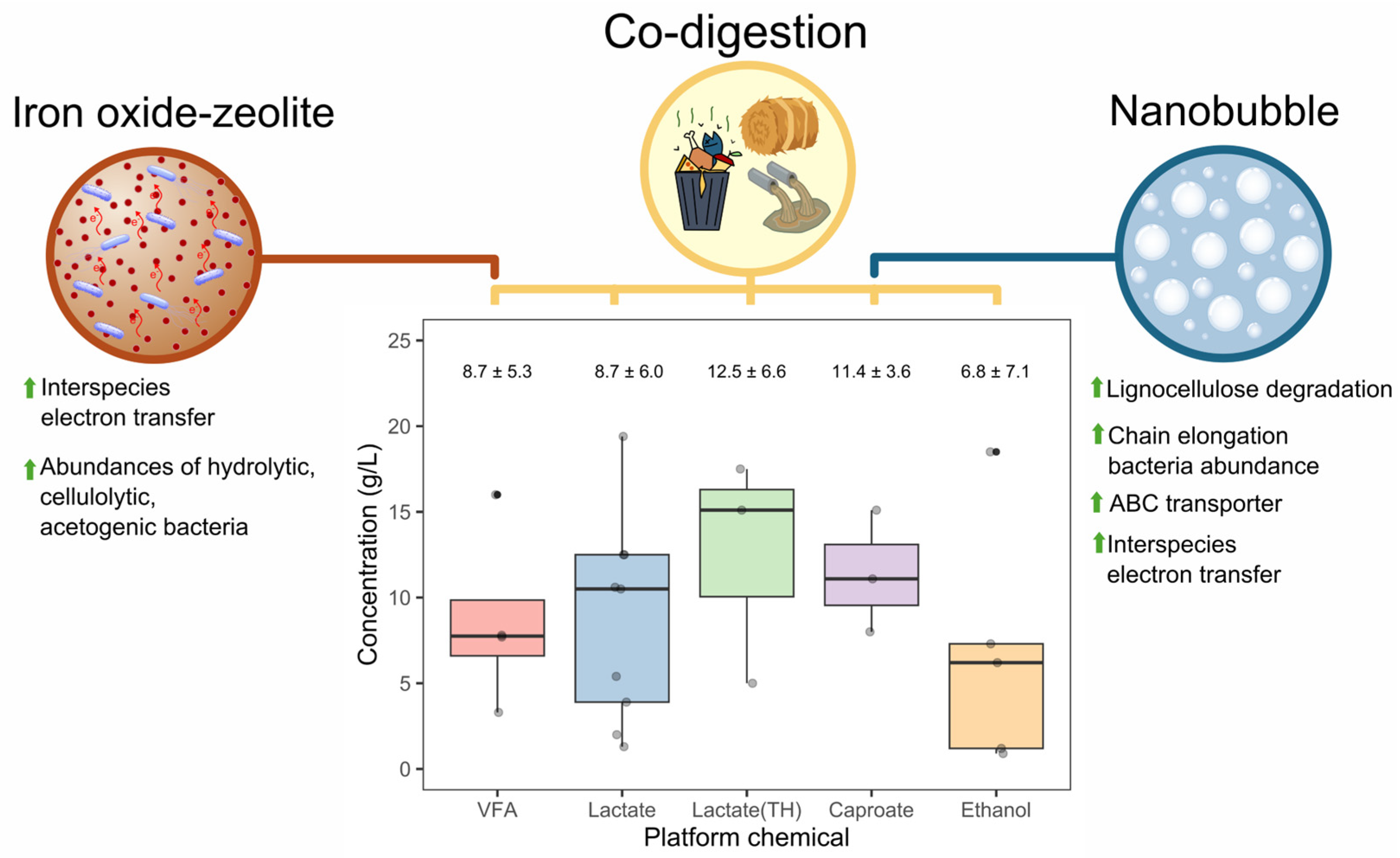 Fermentation 10 00568 g002