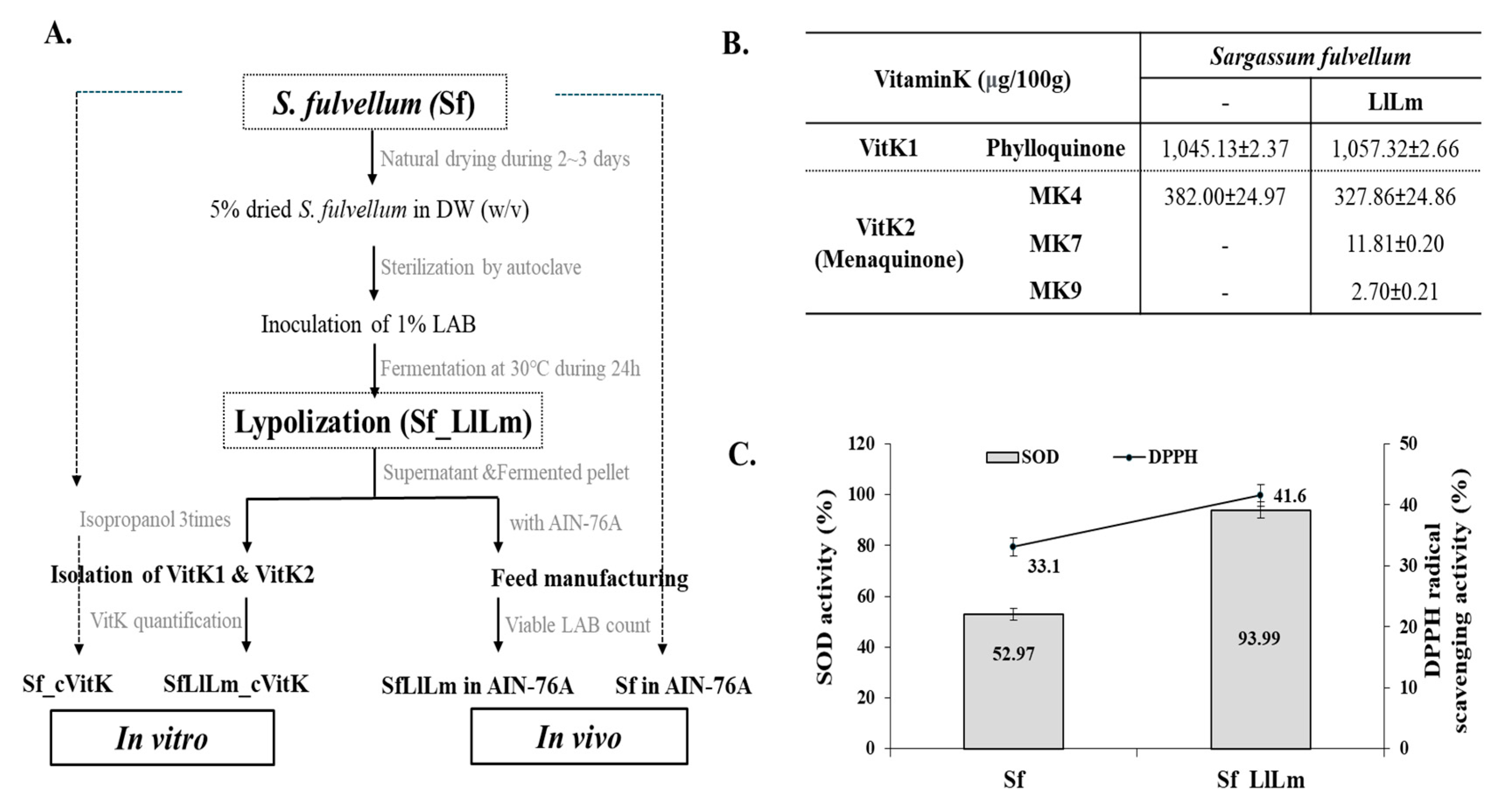 Fermentation 10 00569 g001