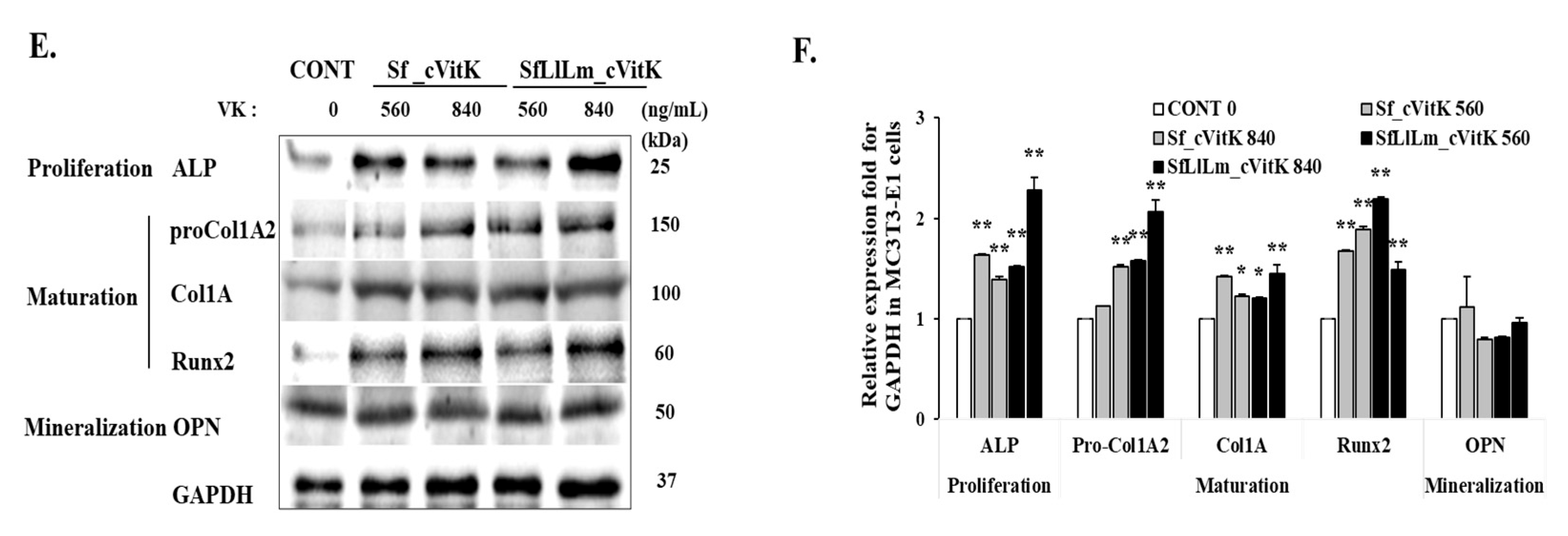 Fermentation 10 00569 g003b