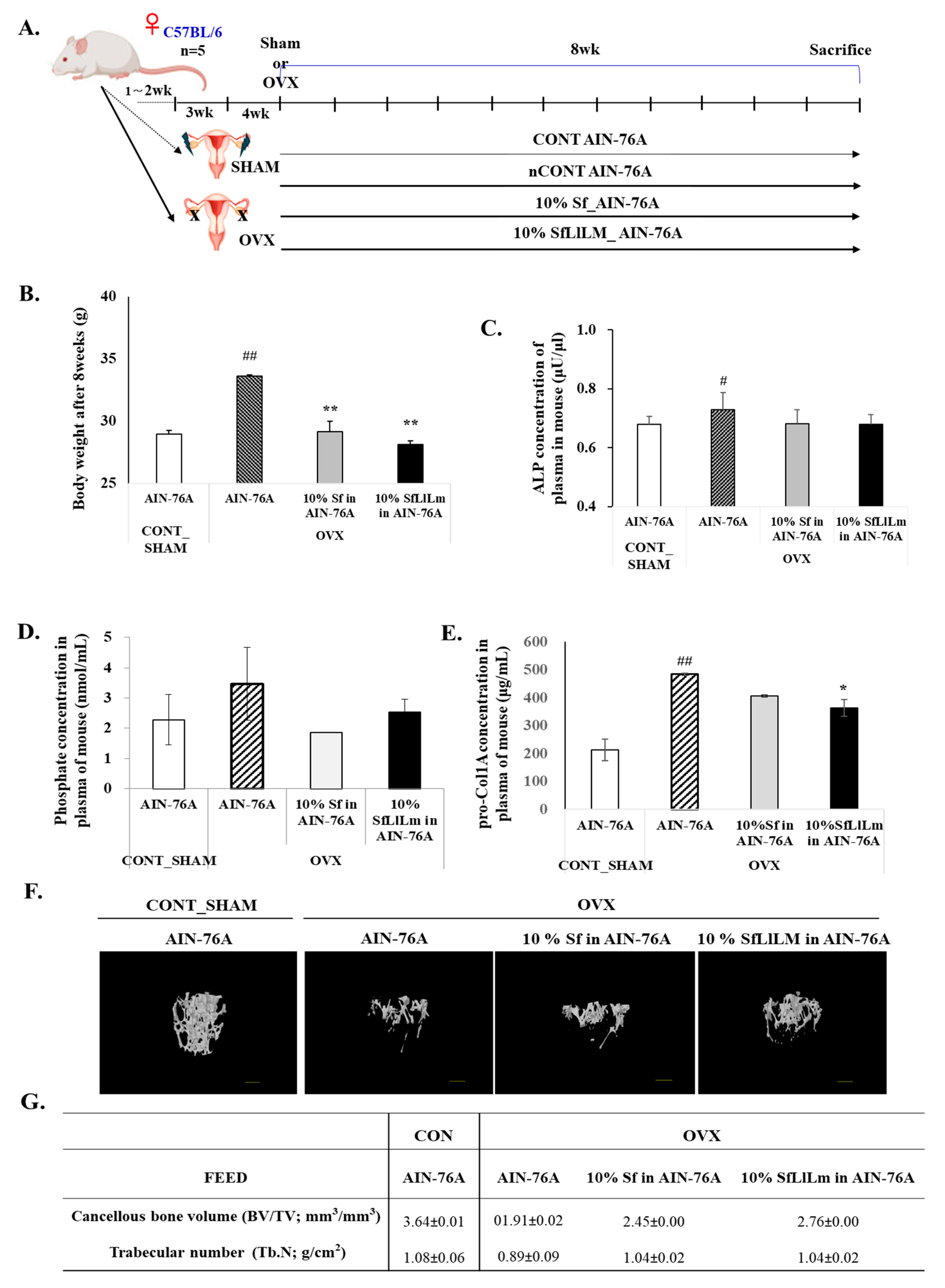 Fermentation 10 00569 g004