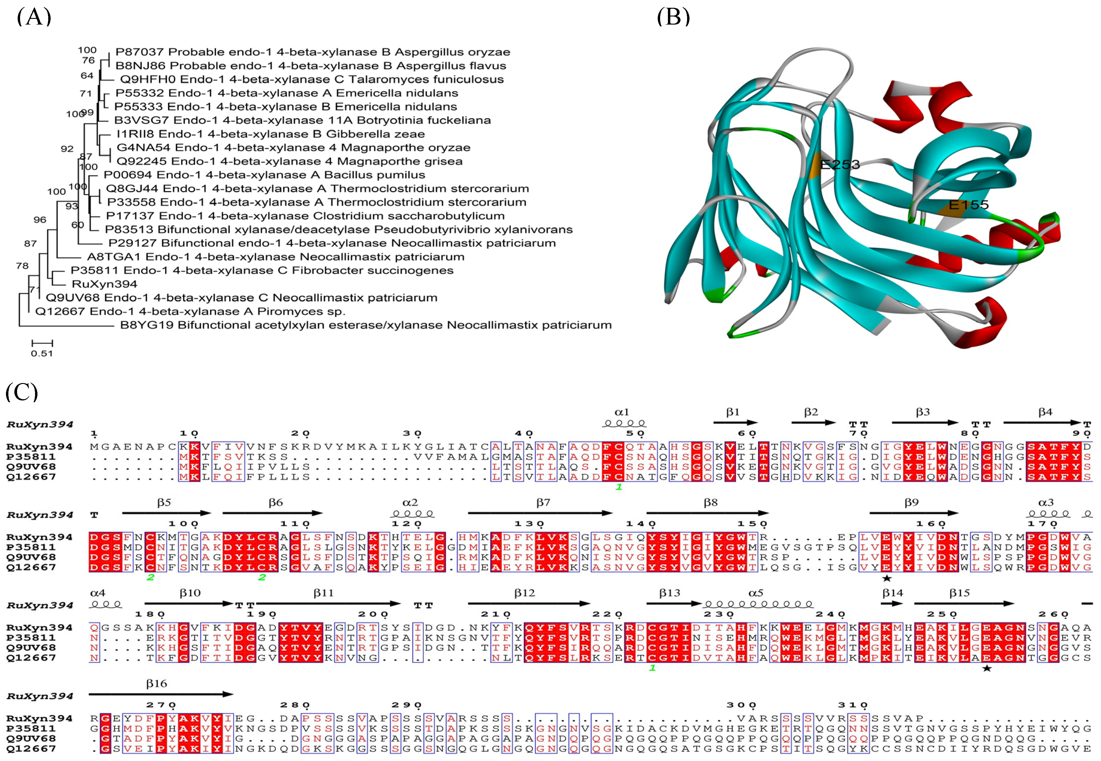 Fermentation 10 00574 g001