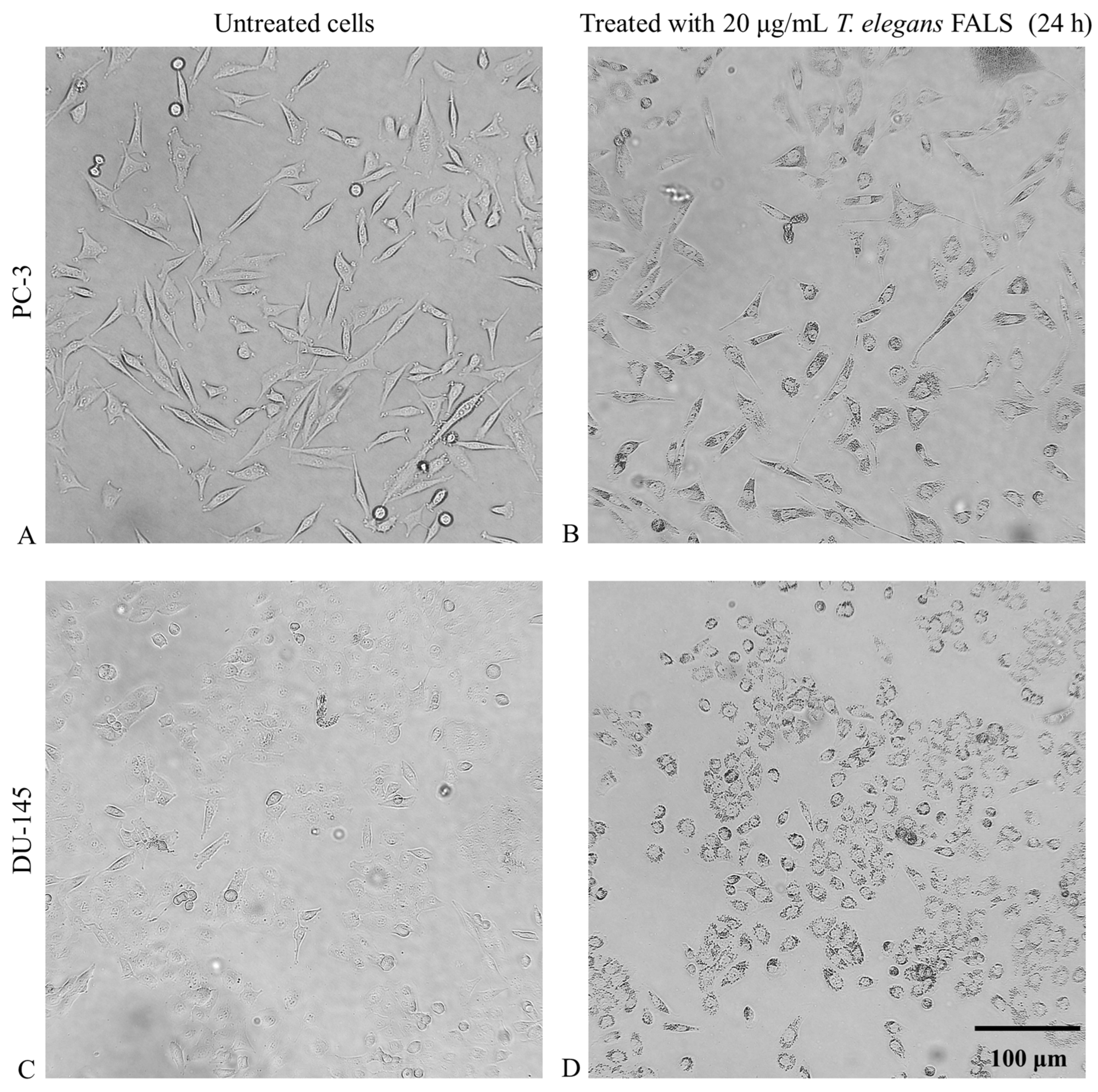 Fermentation 10 00578 g002