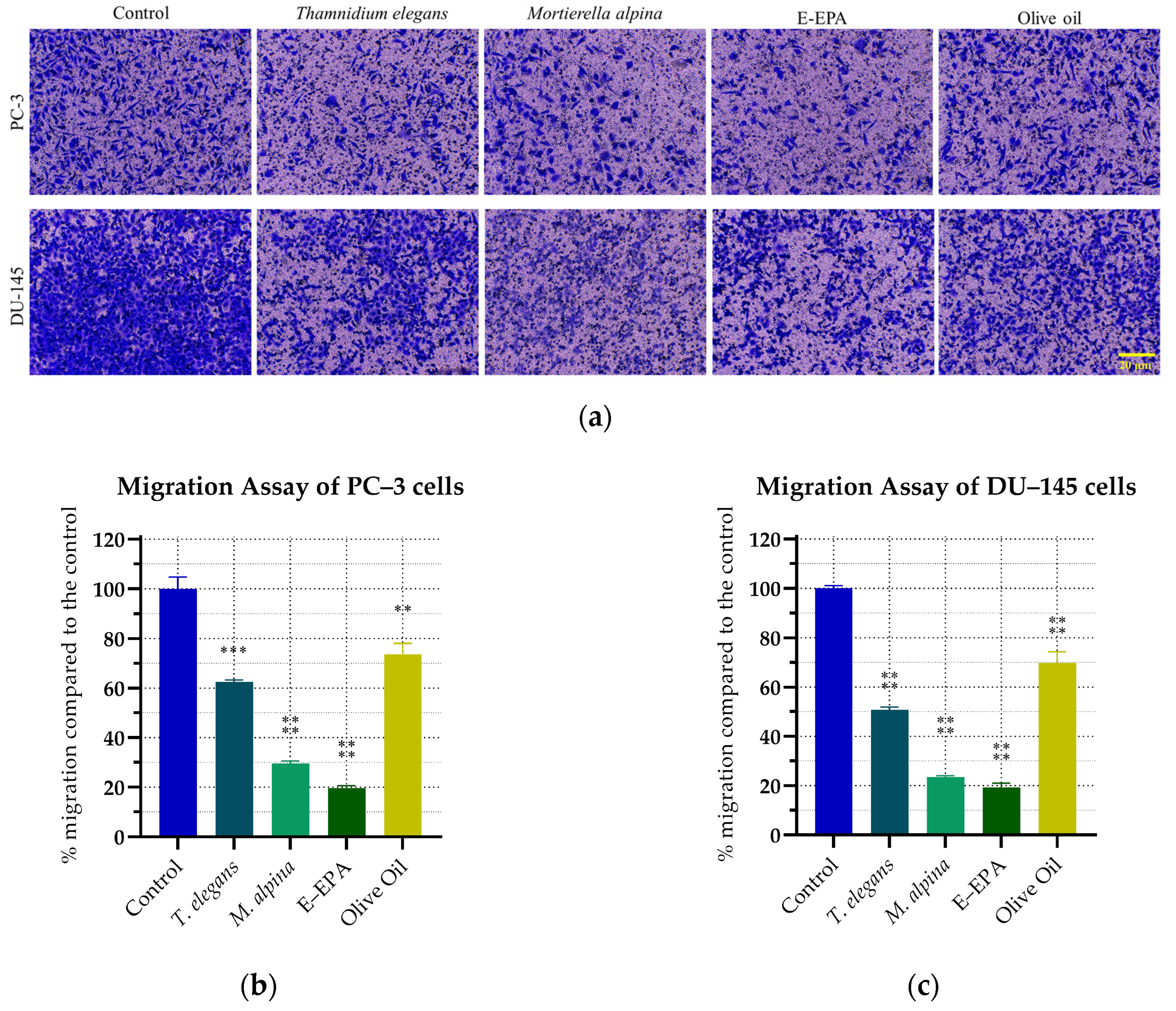 Fermentation 10 00578 g004