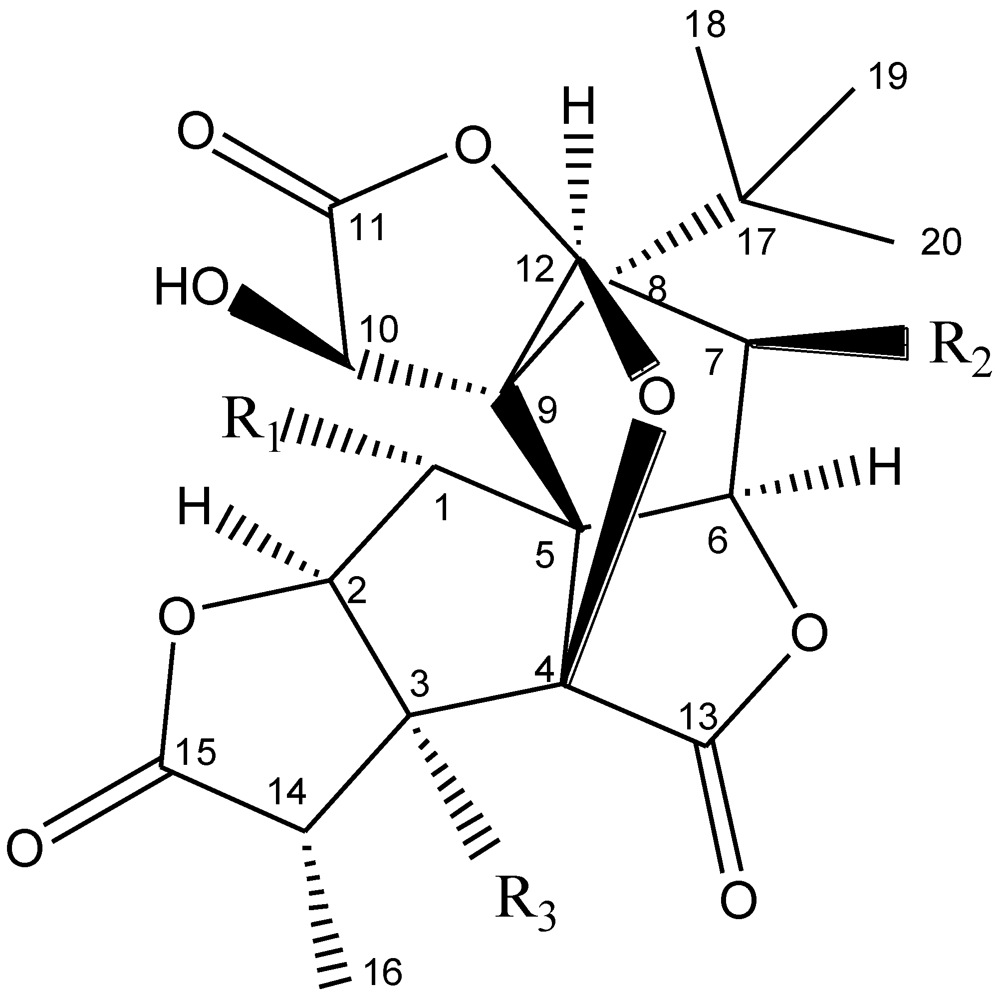 Fermentation 10 00579 g003 Fermentation 10 00579 g003