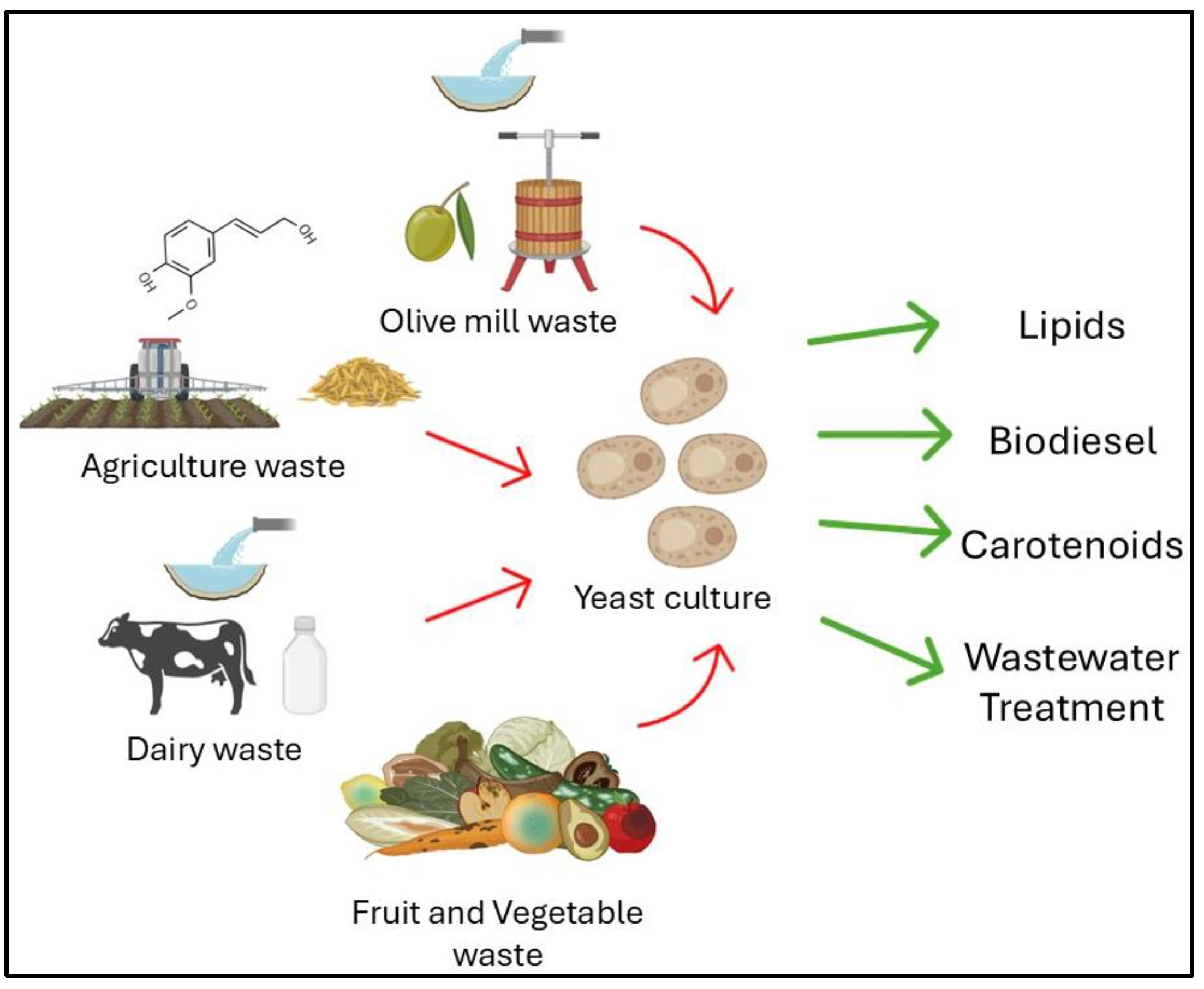 Fermentation 10 00583 g001 Fermentation 10 00583 g001