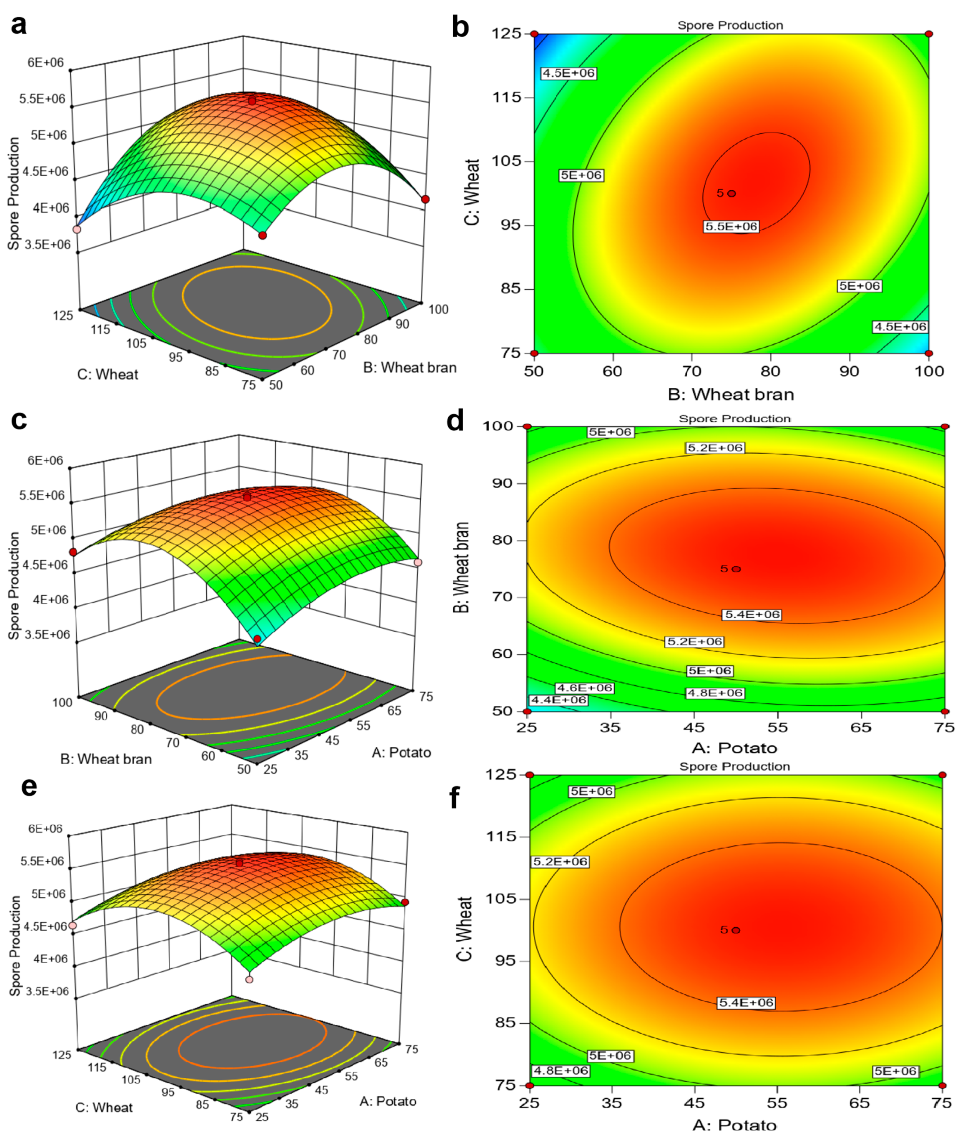 Fermentation 10 00587 g003