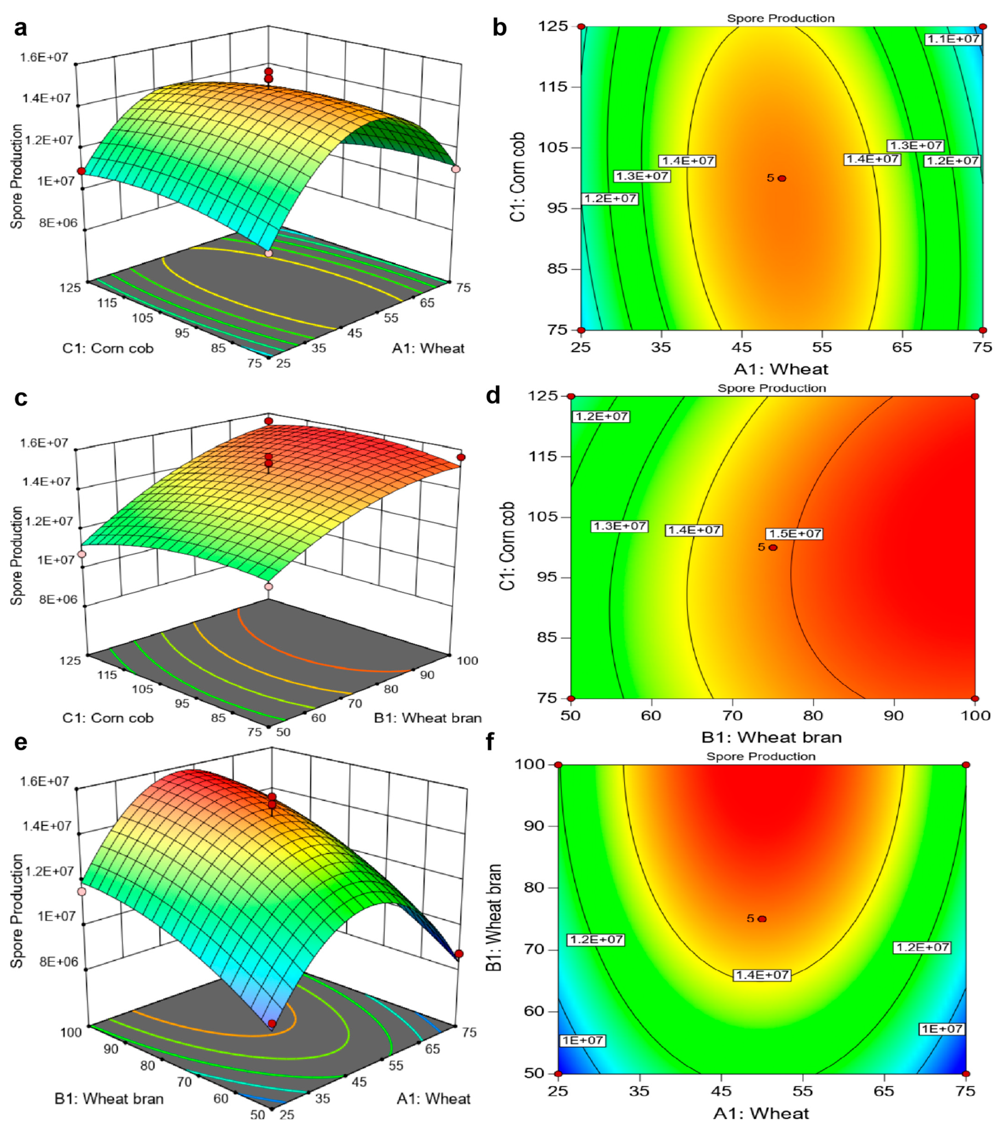 Fermentation 10 00587 g004