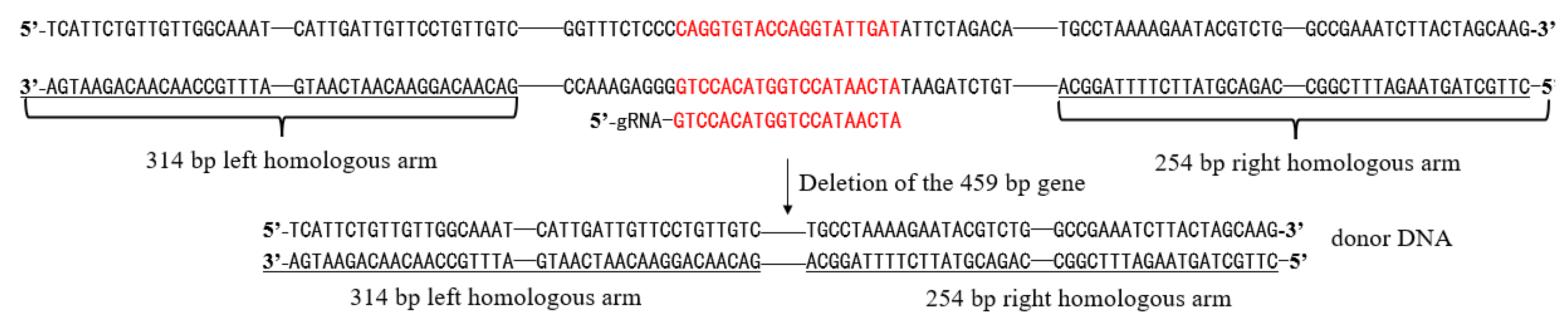 Fermentation 10 00589 g001