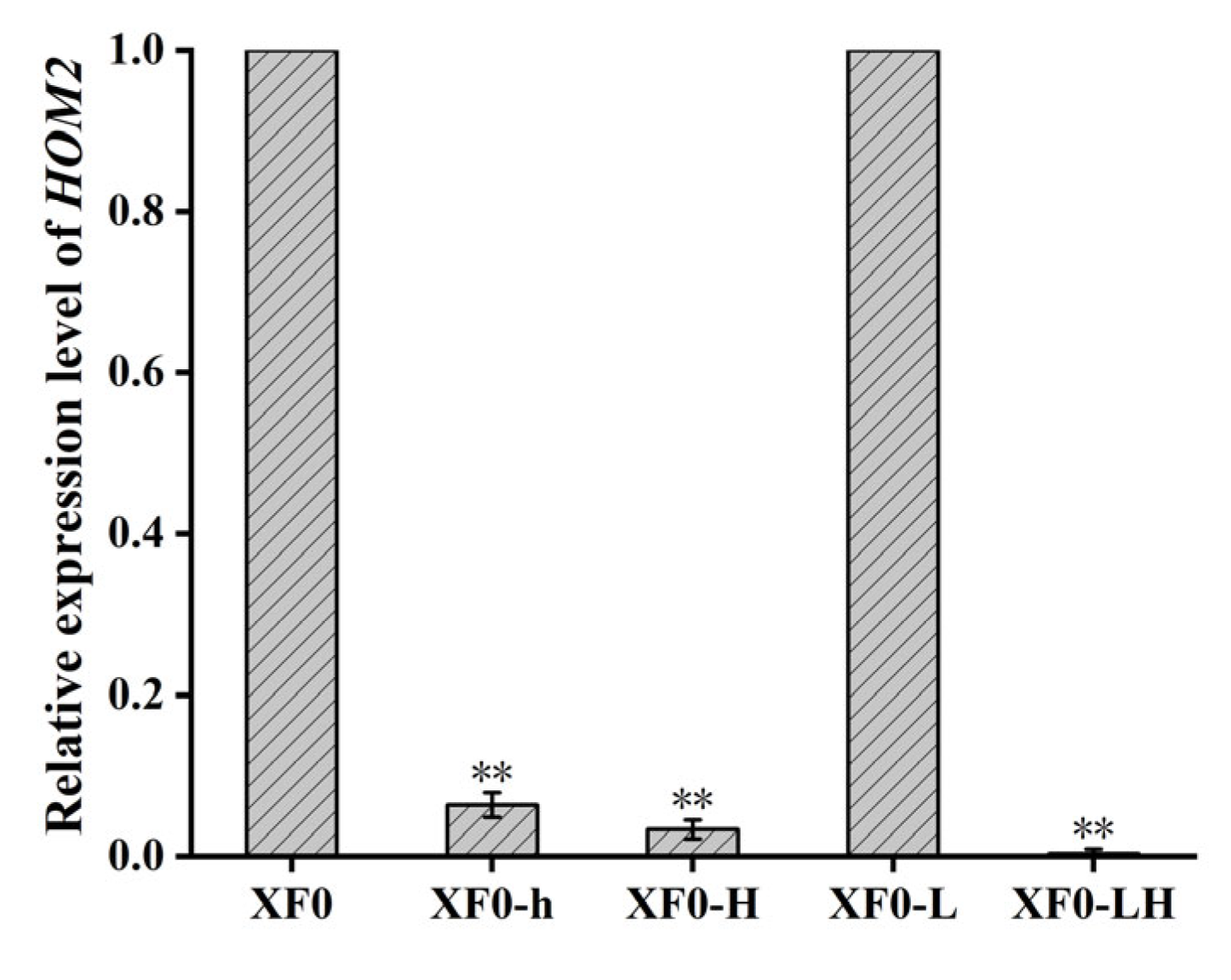 Fermentation 10 00589 g004