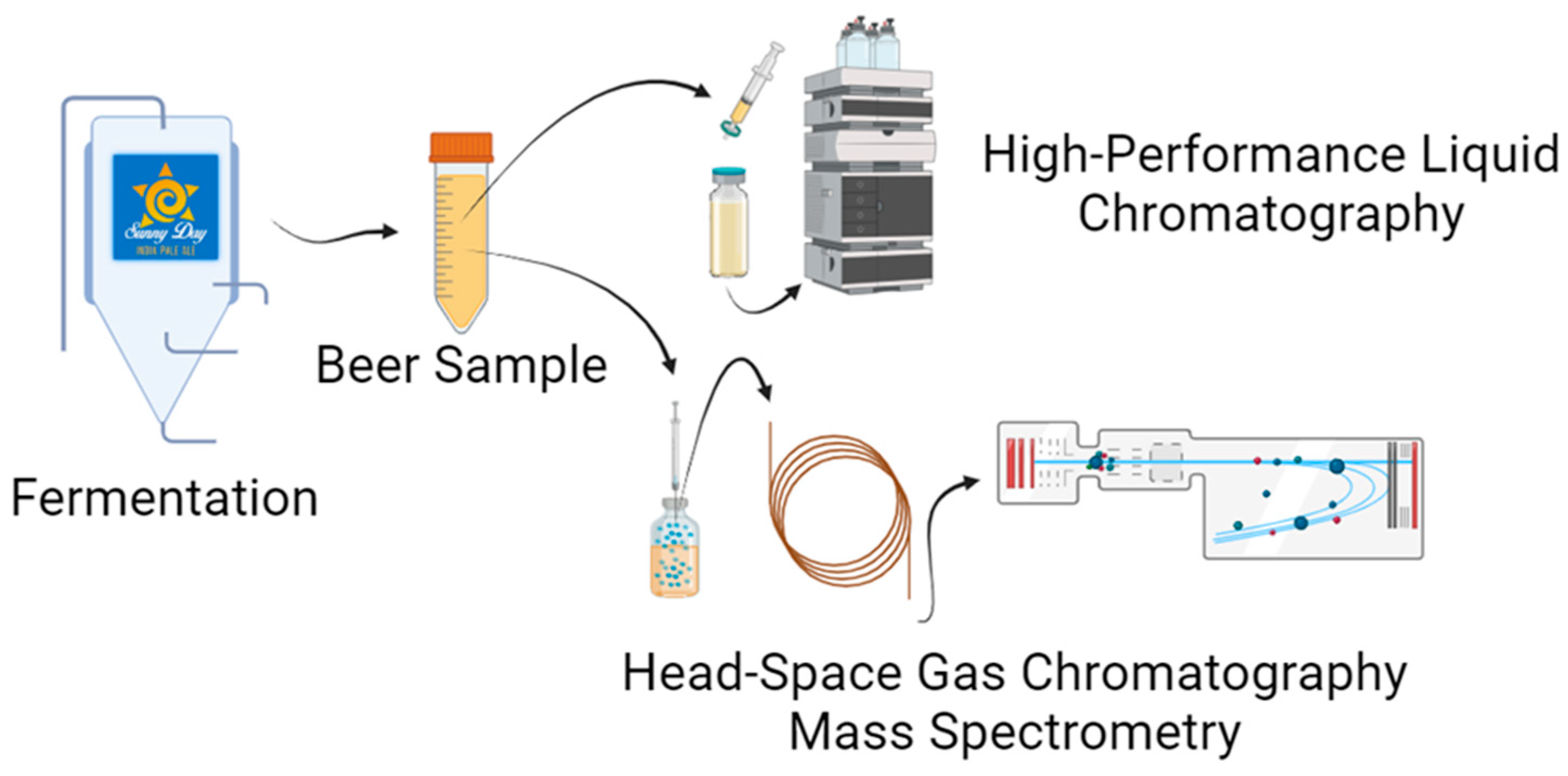 Fermentation 10 00593 g001