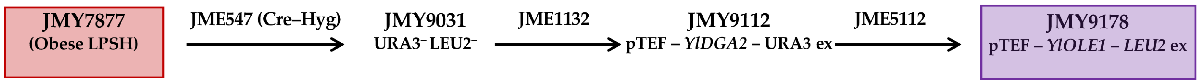 Fermentation 10 00597 g001 Fermentation 10 00597 g001