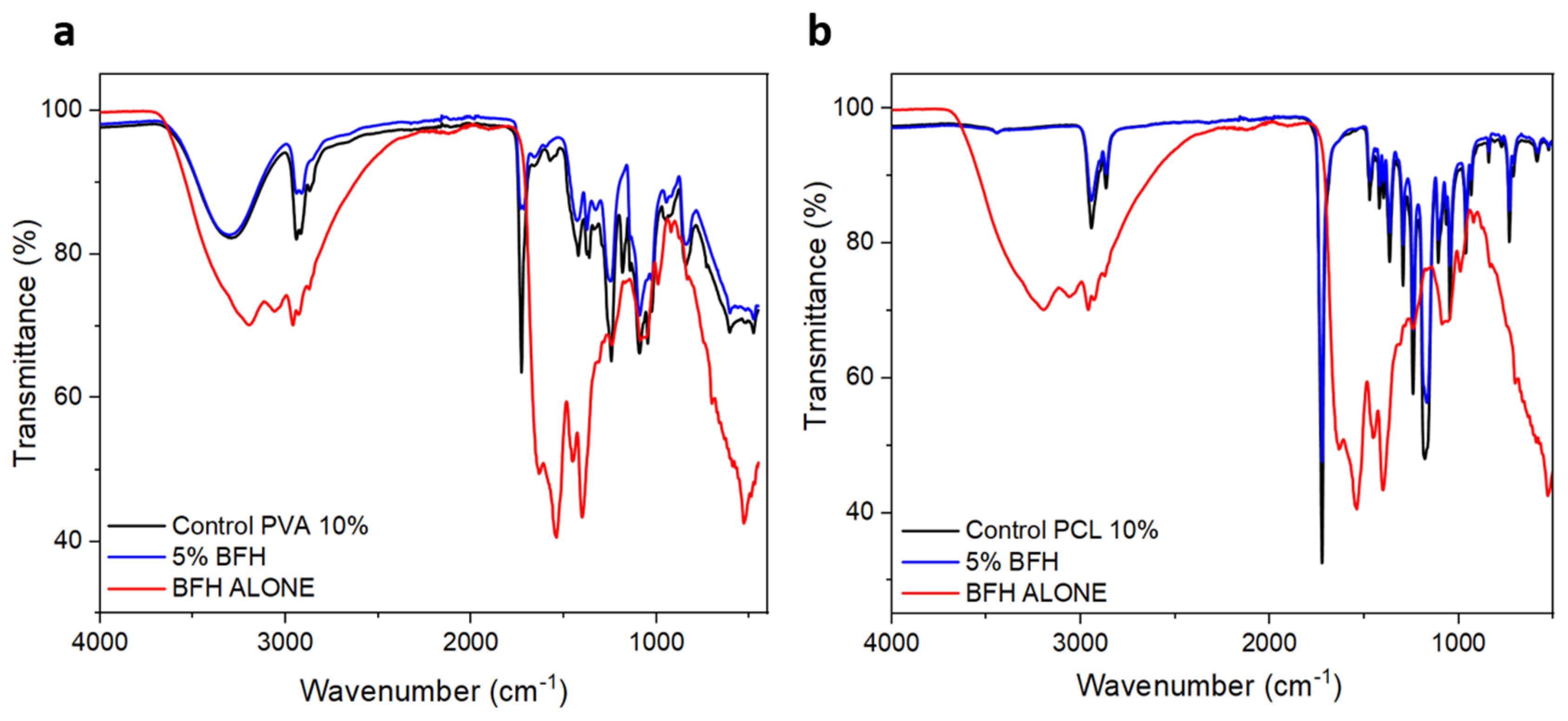 Fermentation 10 00615 g007
