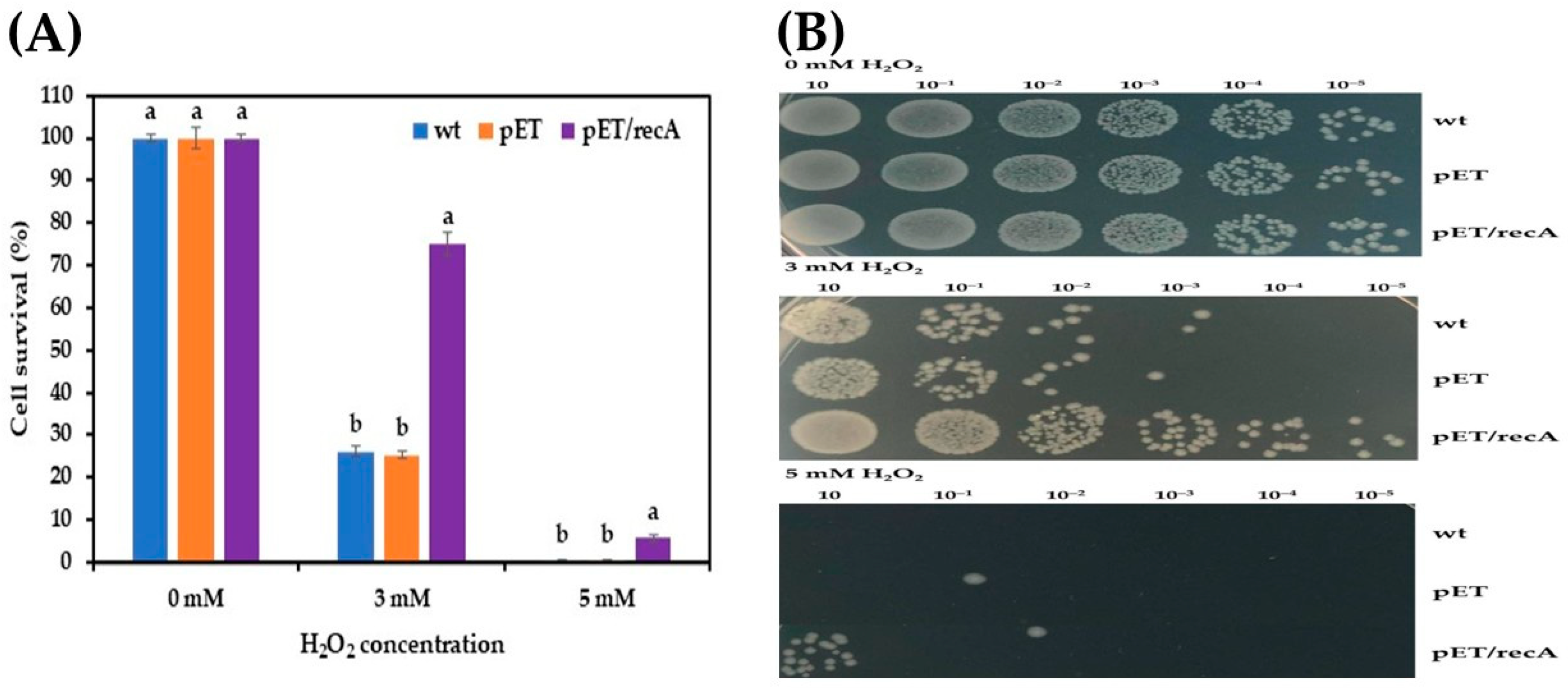Fermentation 10 00617 g002
