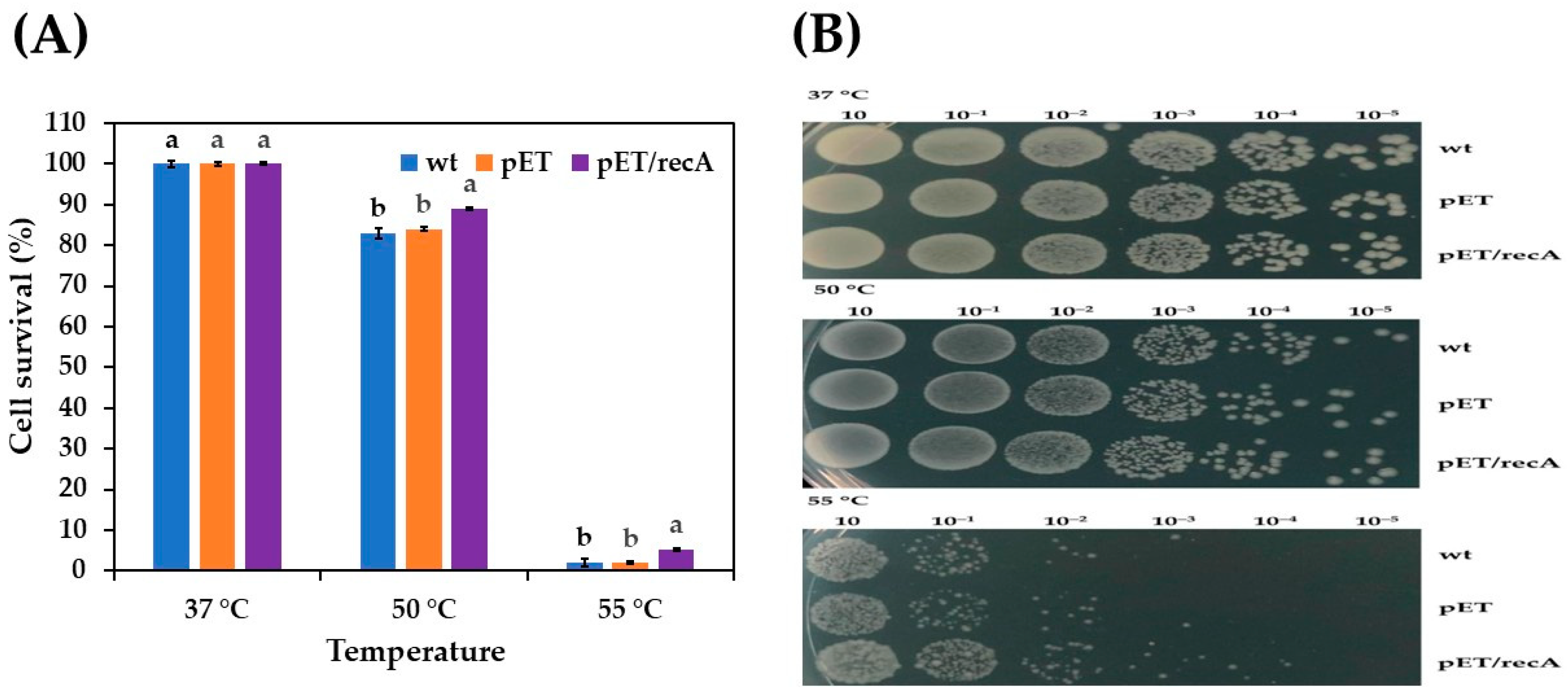 Fermentation 10 00617 g003