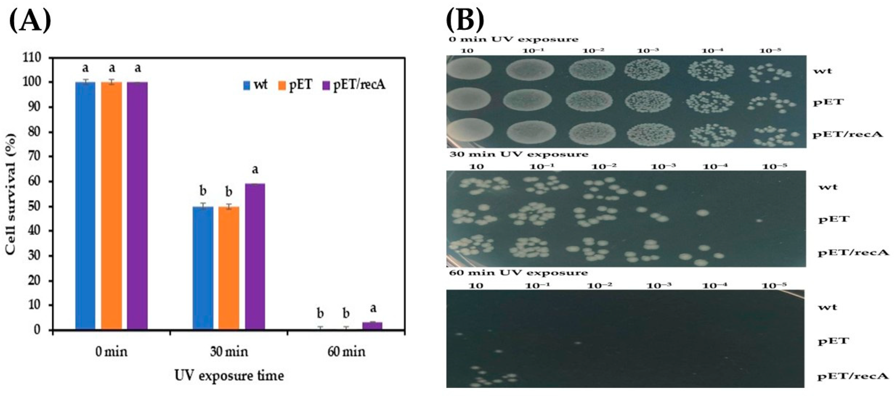 Fermentation 10 00617 g005