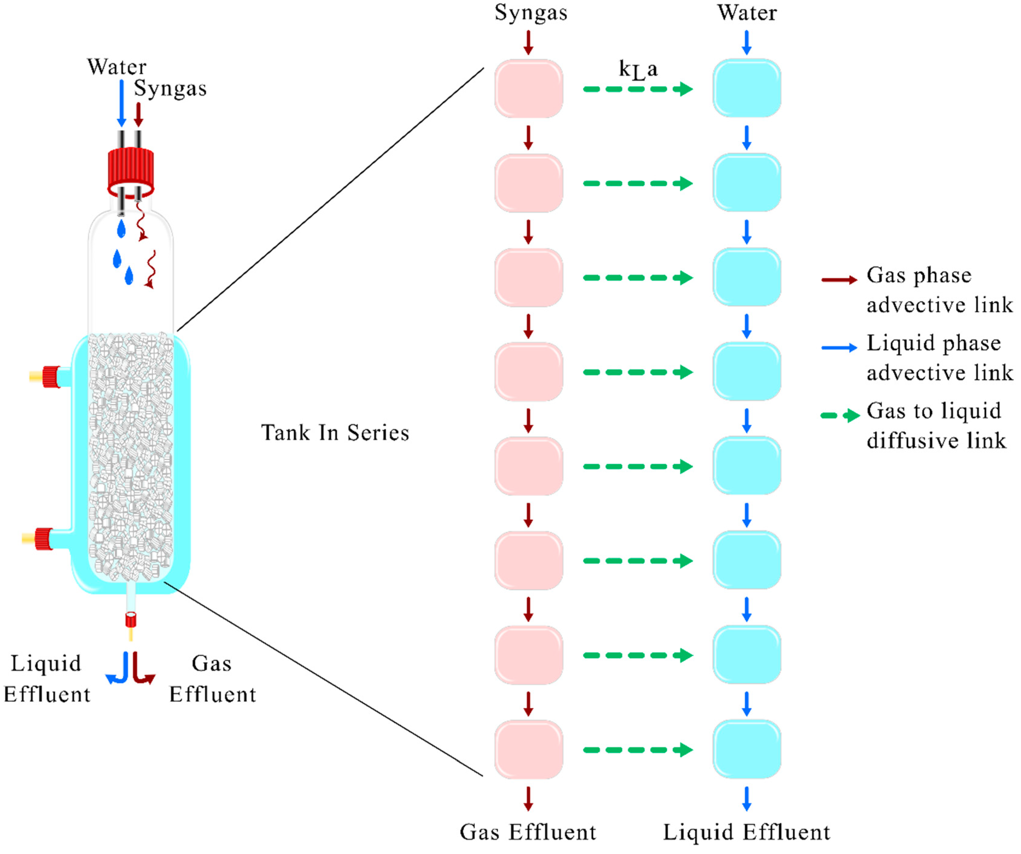 Scaling up Trickle Bed Reactor for Gas Fermentation