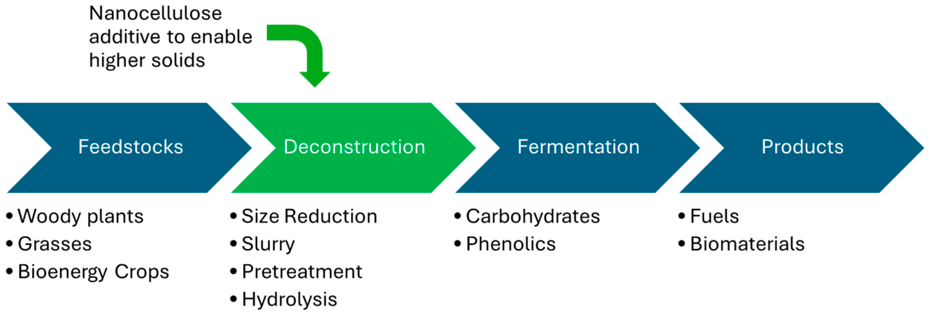 Fermentation 10 00626 g001