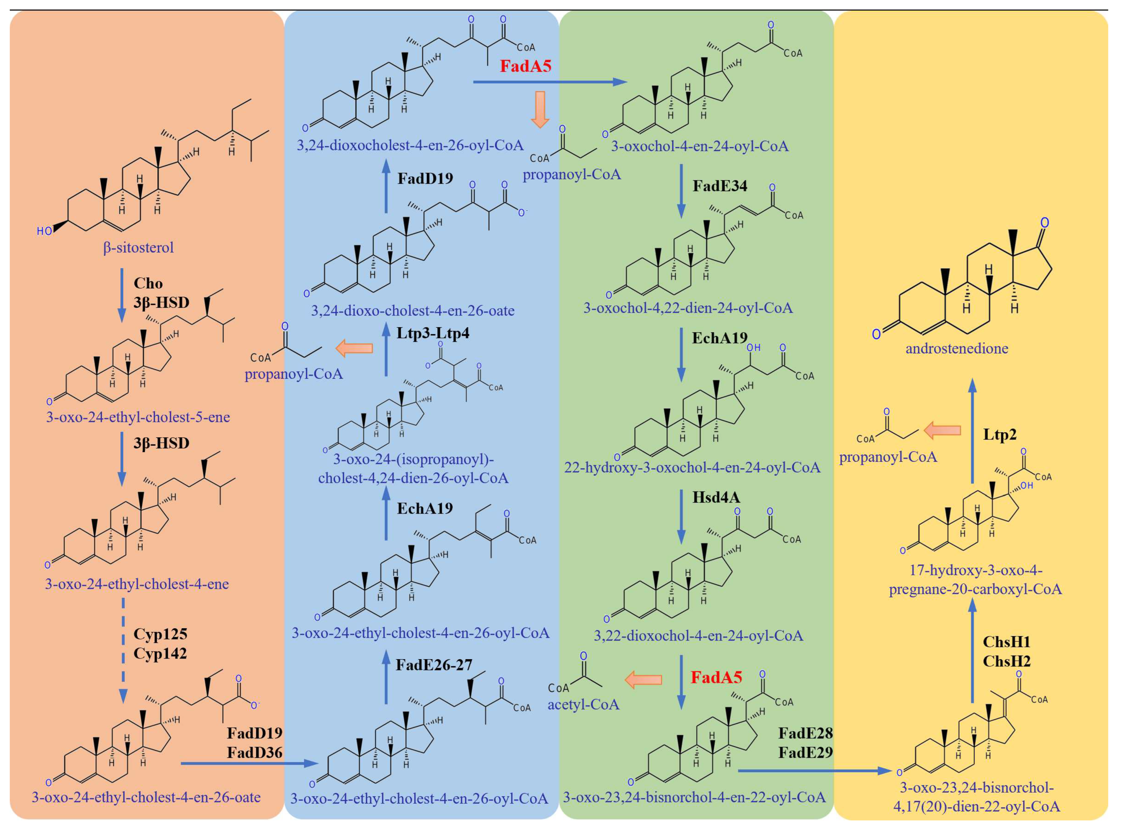Fermentation 10 00627 g001