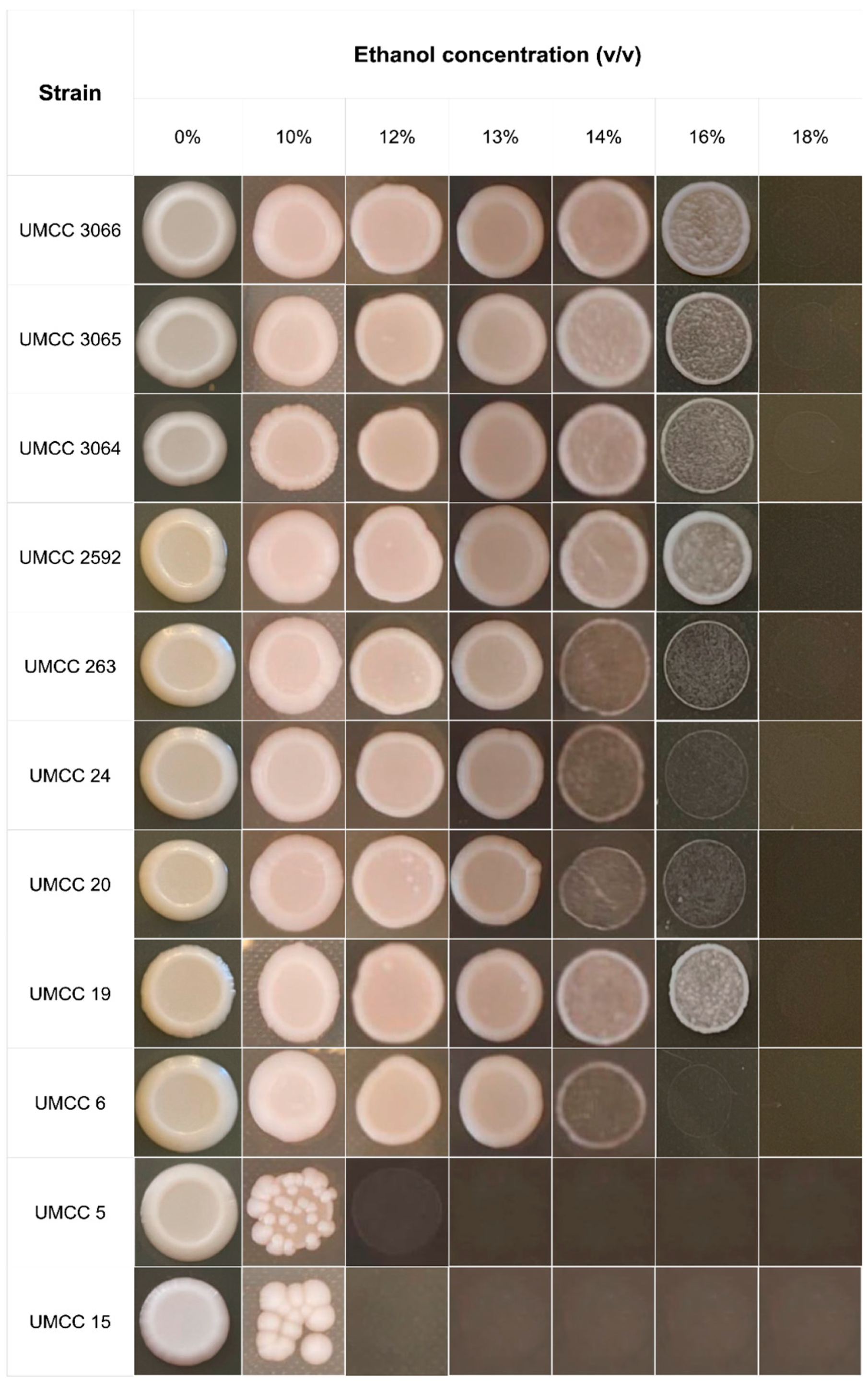 Fermentation 10 00631 g002 Fermentation 10 00631 g002