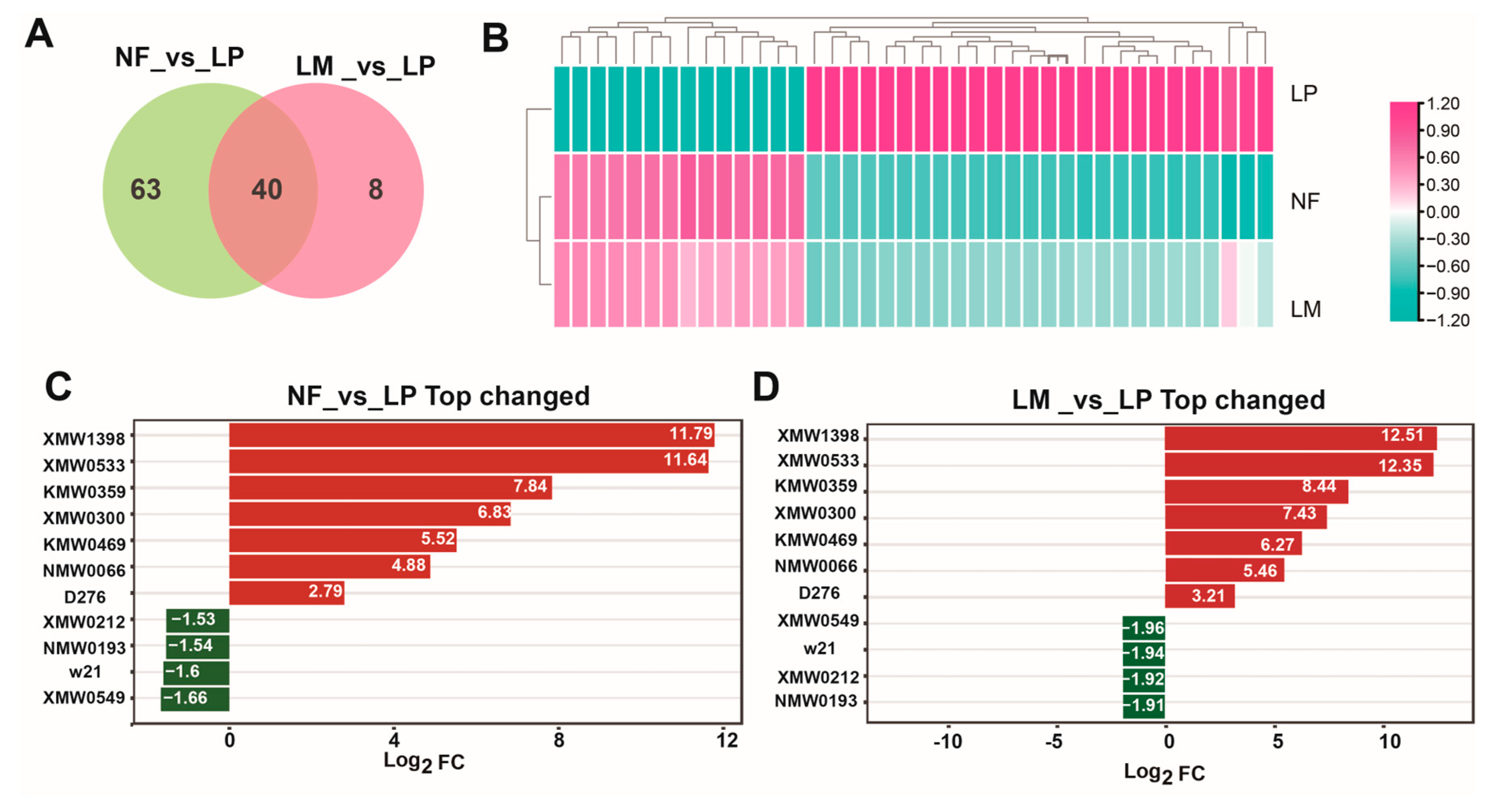 Fermentation 10 00632 g004