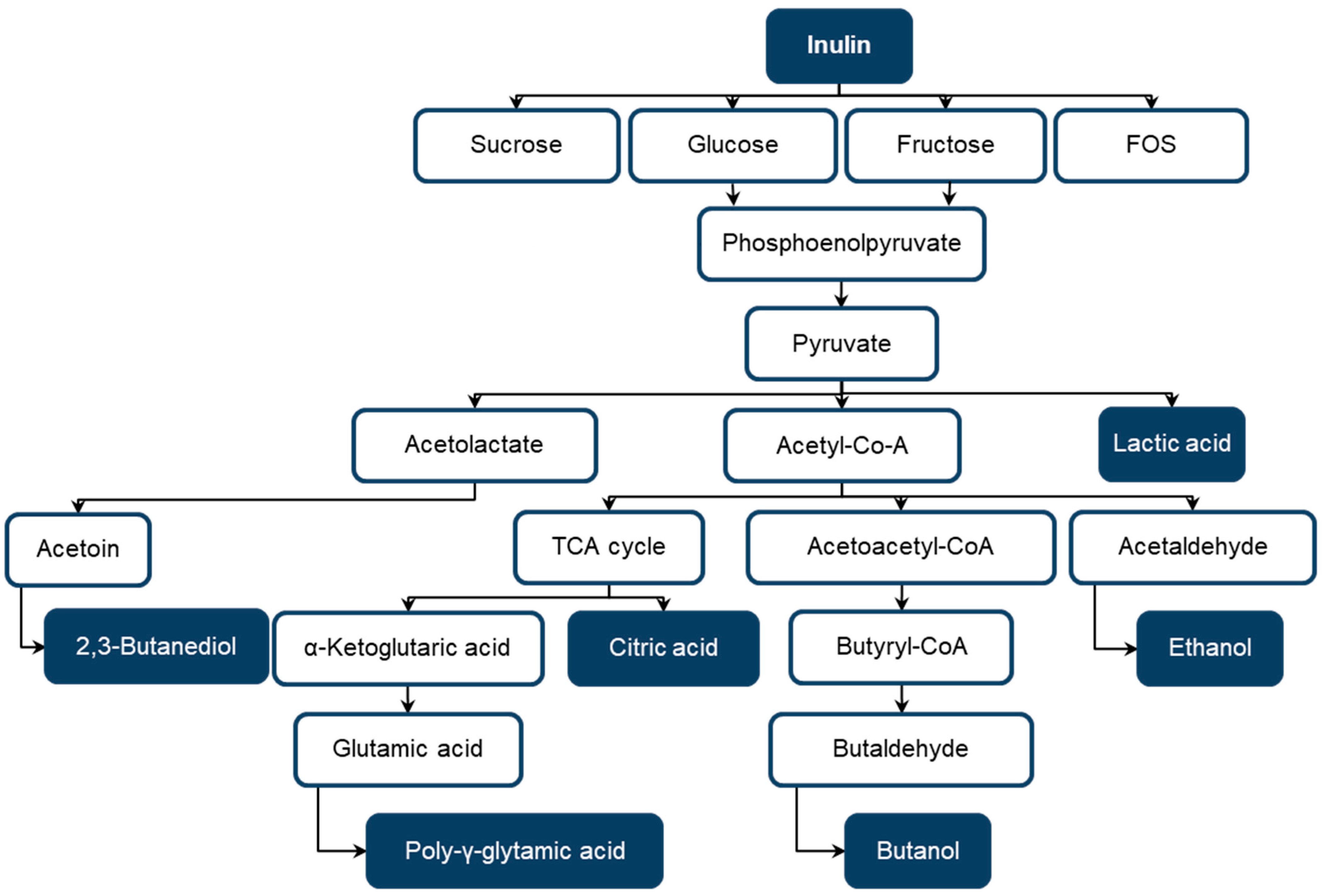 Fermentation 10 00640 g003 Fermentation 10 00640 g003