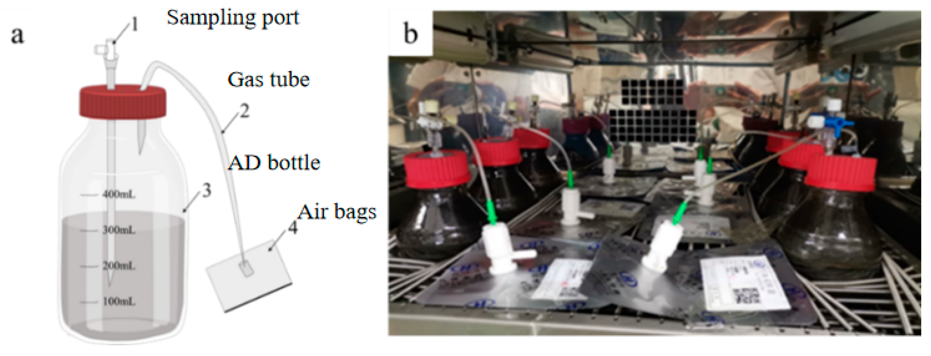The Enhancing Effect of Biochar Derived from Biogas Residues