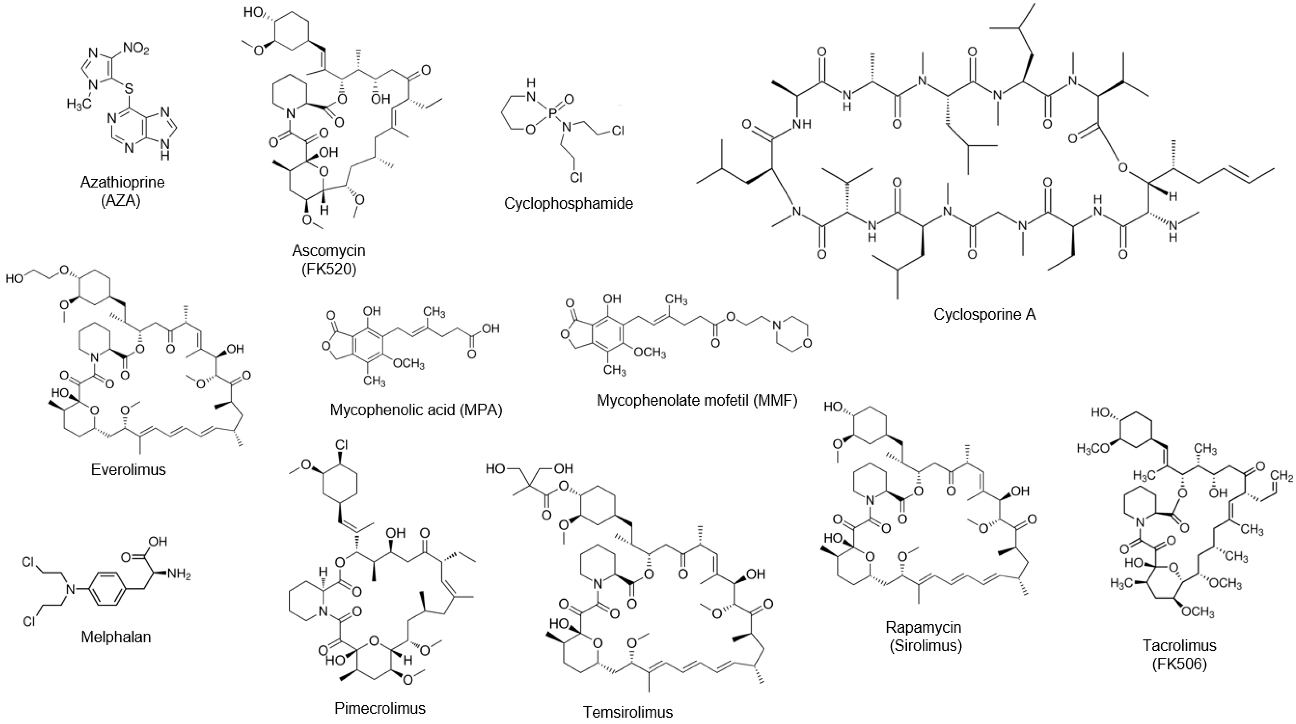 Fermentation 10 00645 g001