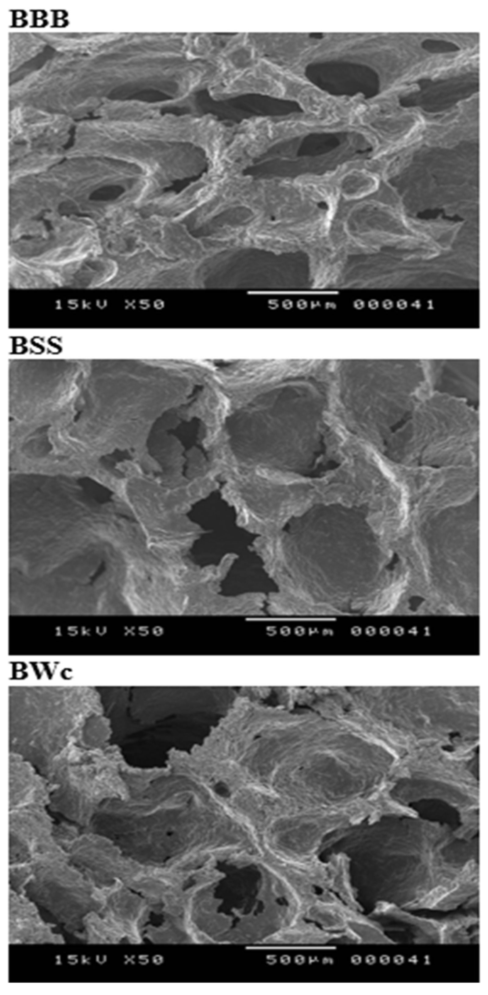 Fermentation 10 00647 g002