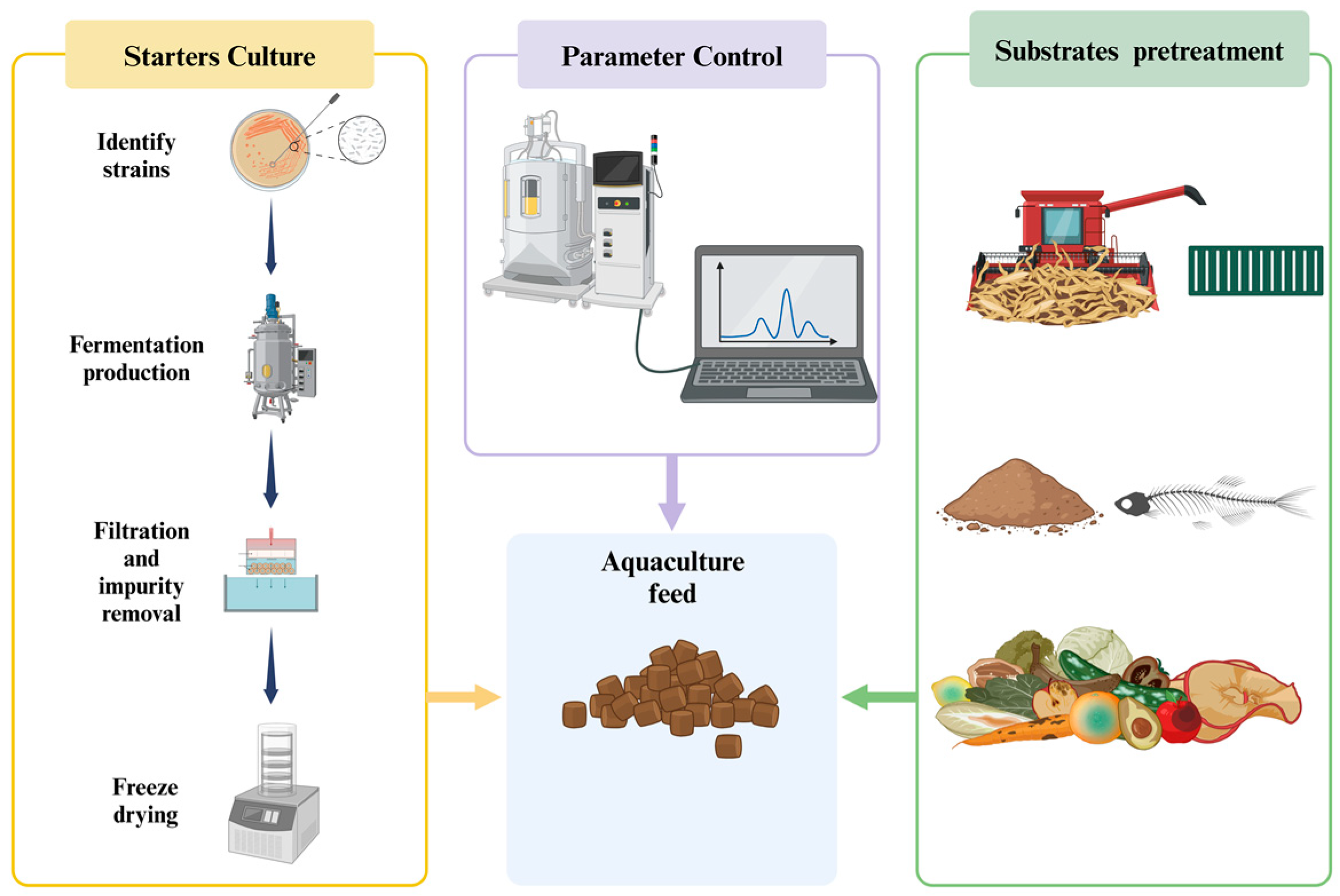 Fermentation 10 00648 g001