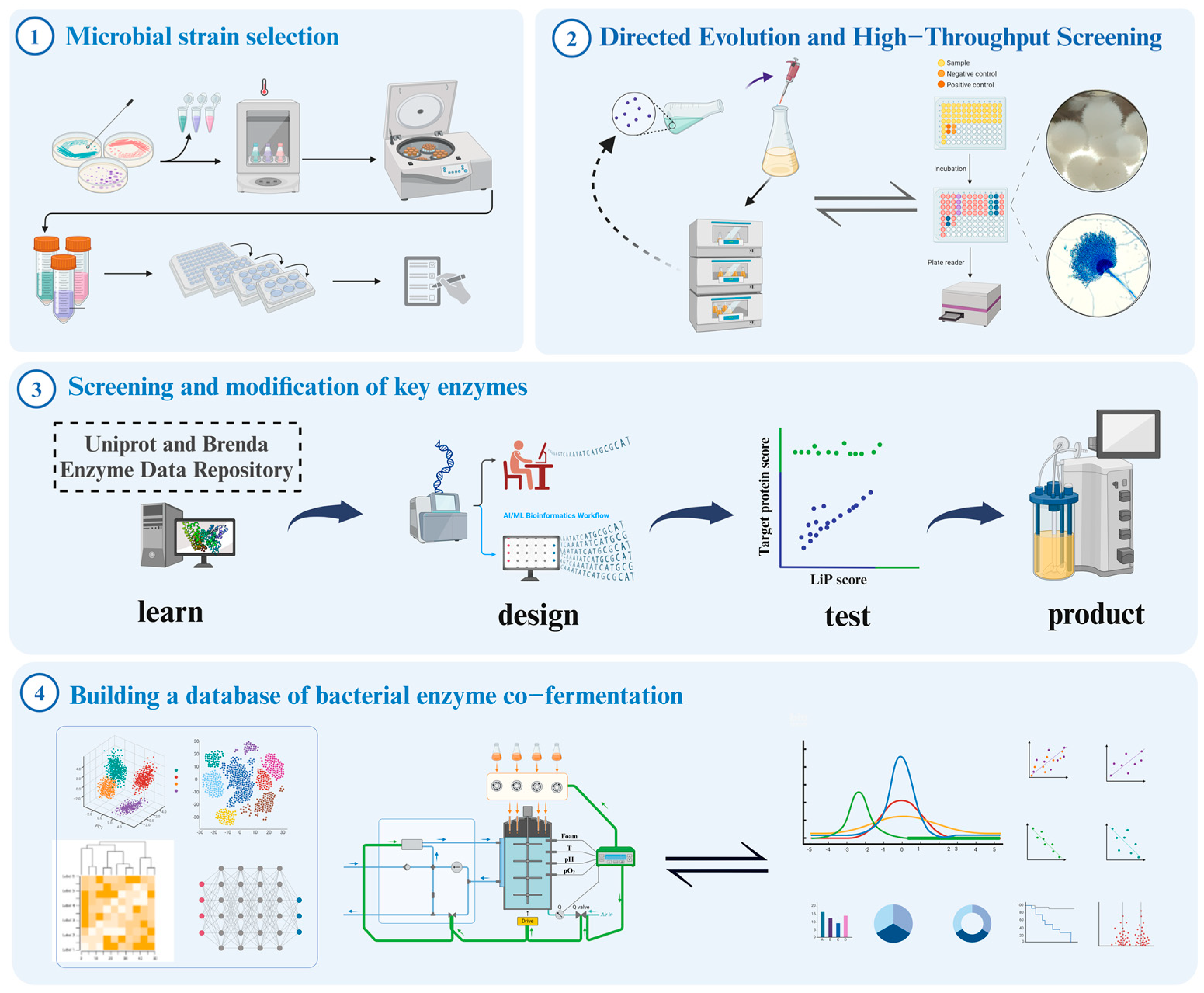 Fermentation 10 00648 g005