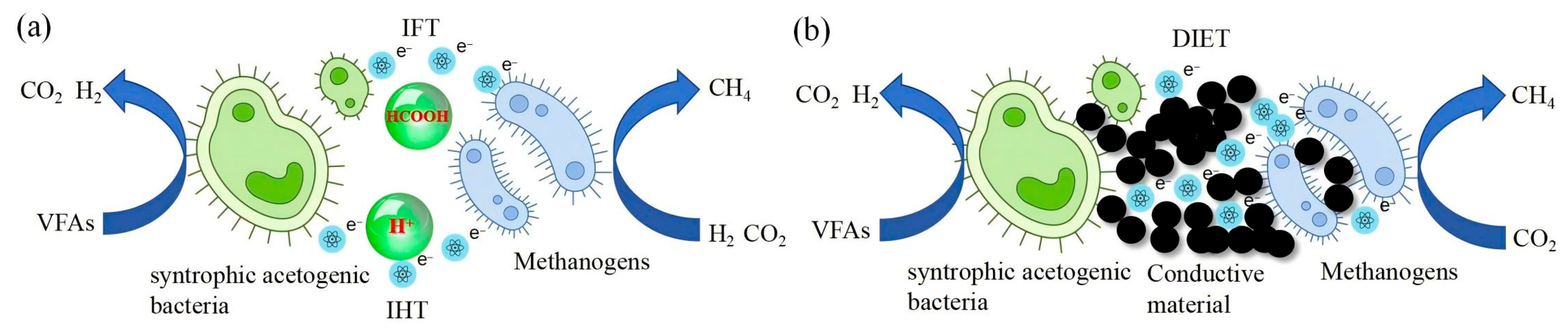 Fermentation 10 00656 g001