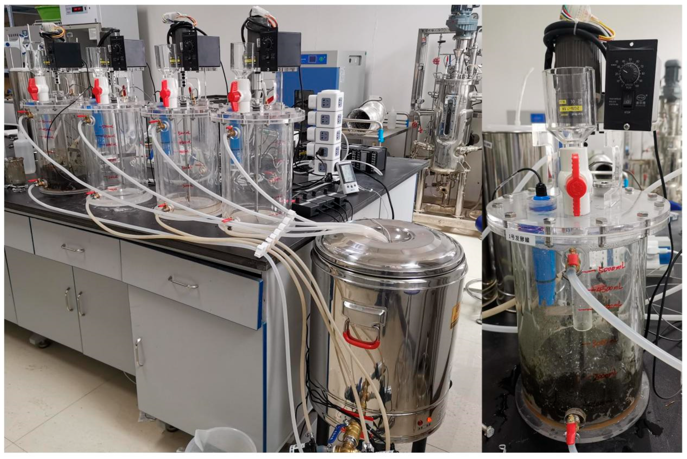 Fermentation 10 00656 g002